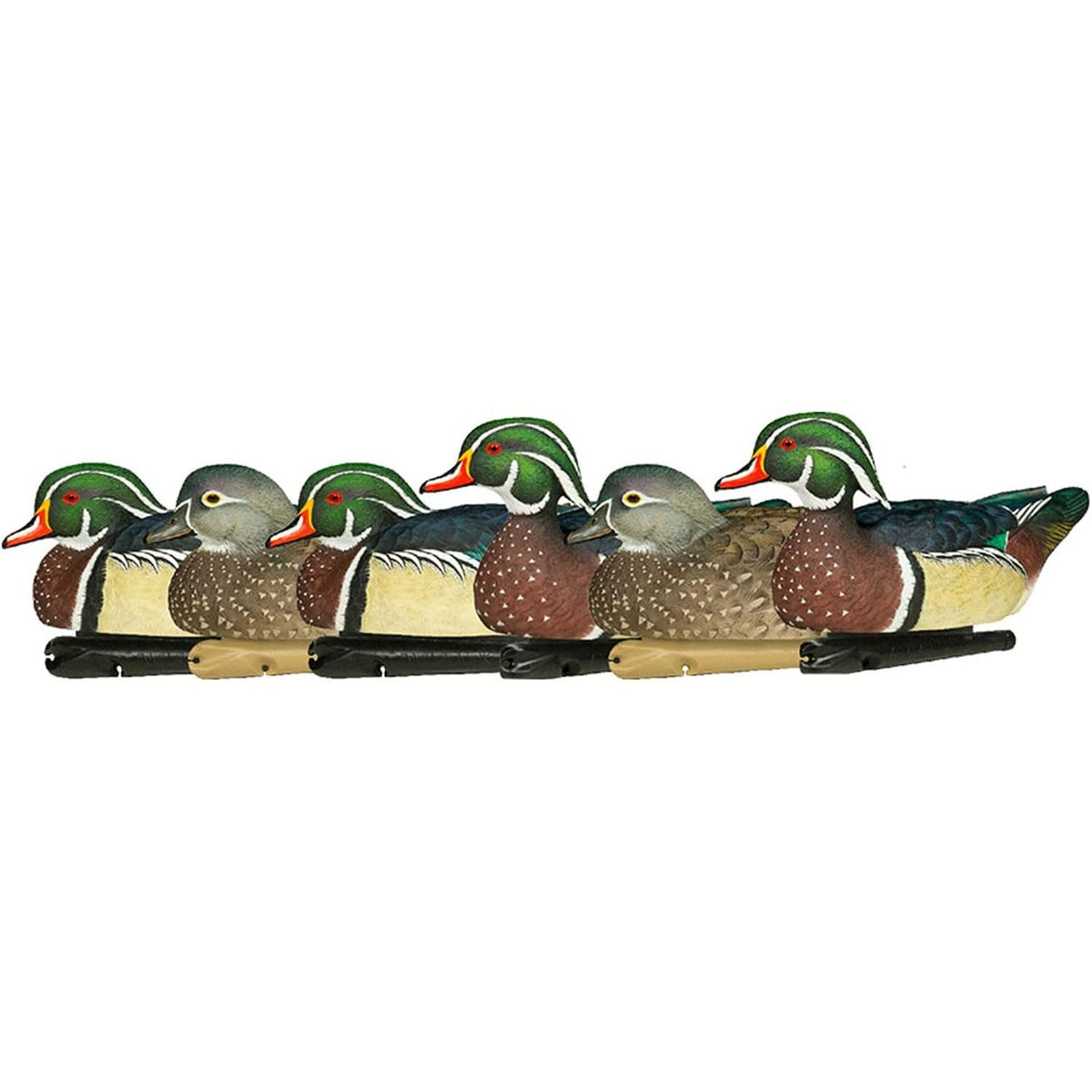 Avian X Topflight Realistic Floating Wood Duck Decoys with Weight-Forward Swim Keel, Set of 6 (Multicolor)