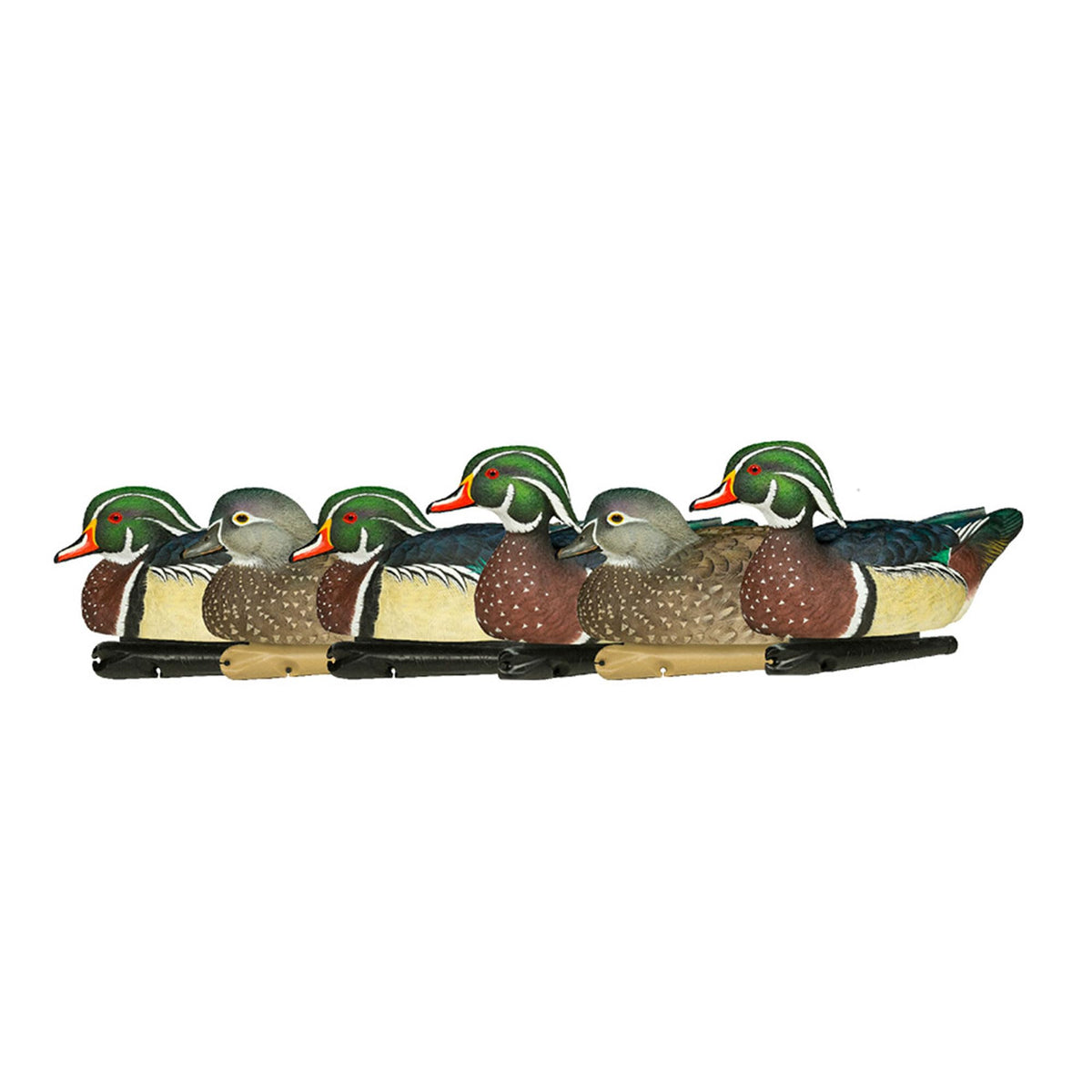 Avian X Topflight Realistic Floating Wood Duck Decoys with Weight-Forward Swim Keel, Set of 6 (Multicolor)