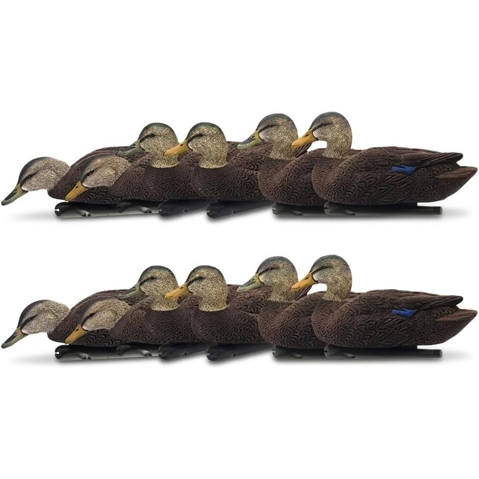 Avian-X Topflight Realistic Duck Decoy Sets with Flocked Bodies, 6 Unique Postures, Weight Forward Swim Keel, & Durable No Flake Finish