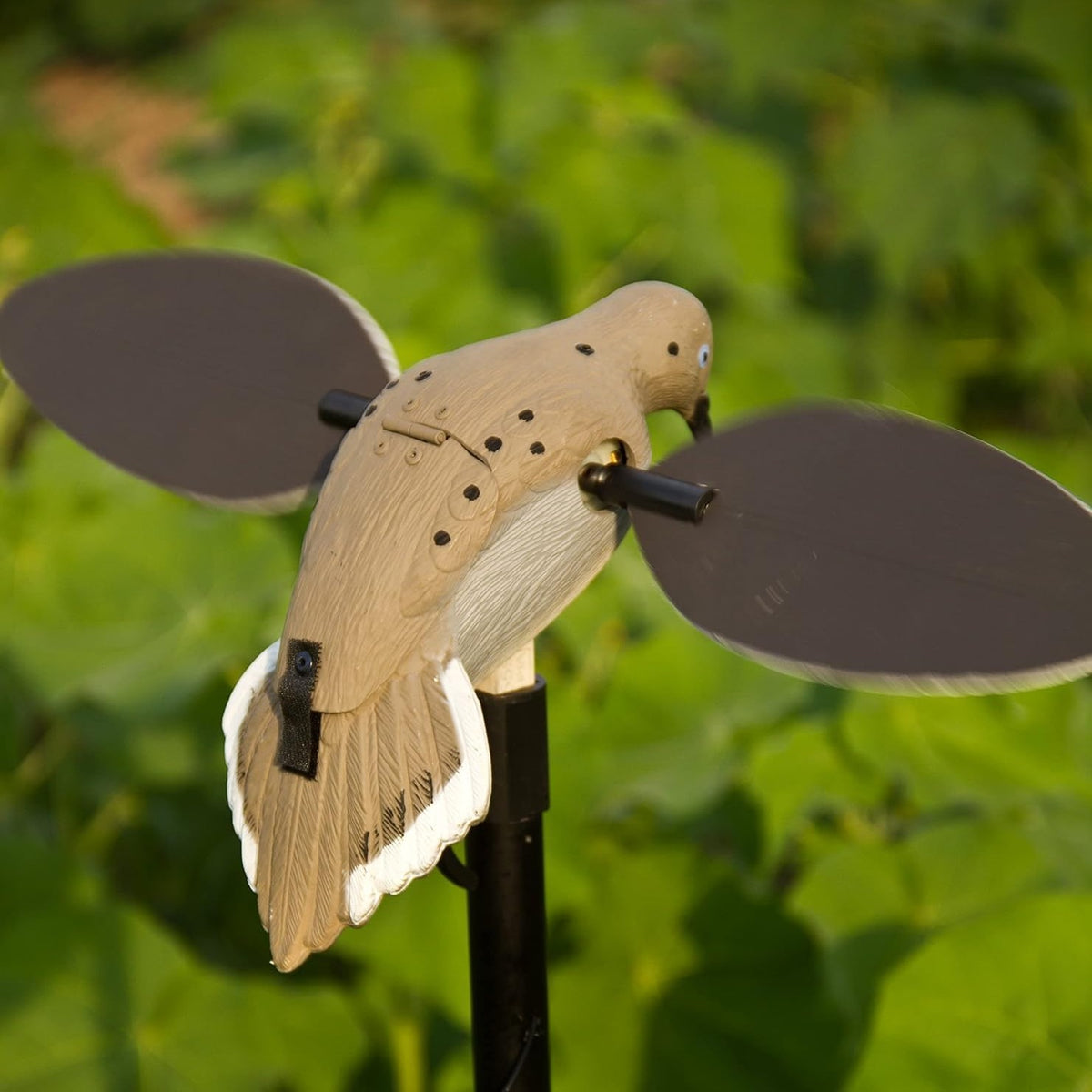 MOJO Outdoors Voodoo Dove Spinning Wing Decoy – Motorized Dove Decoy with Lifelike Body, Magnetic Wings, Steel Support Pole & 16-Hour Battery Life