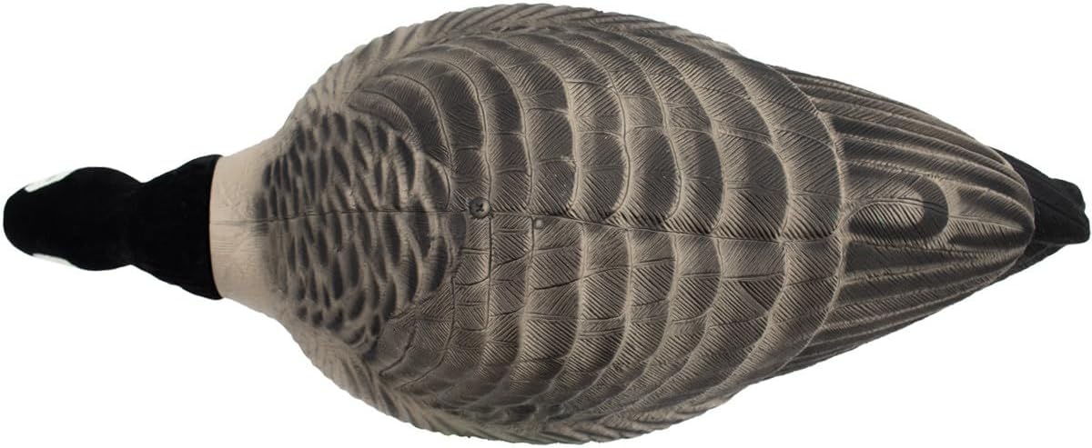 Final Approach HD Full Body Lesser Canada Goose Decoys, 12 Pack