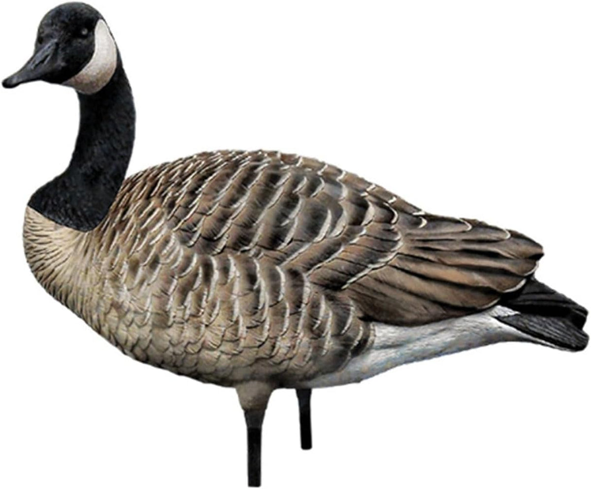 Avian X AXP Honkers Fusion Pack Full Body Canada Goose Decoys with Ultra Realistic Paint, Flocked Heads, 1 Sentry, 2 Walkers, and 3 Feeders