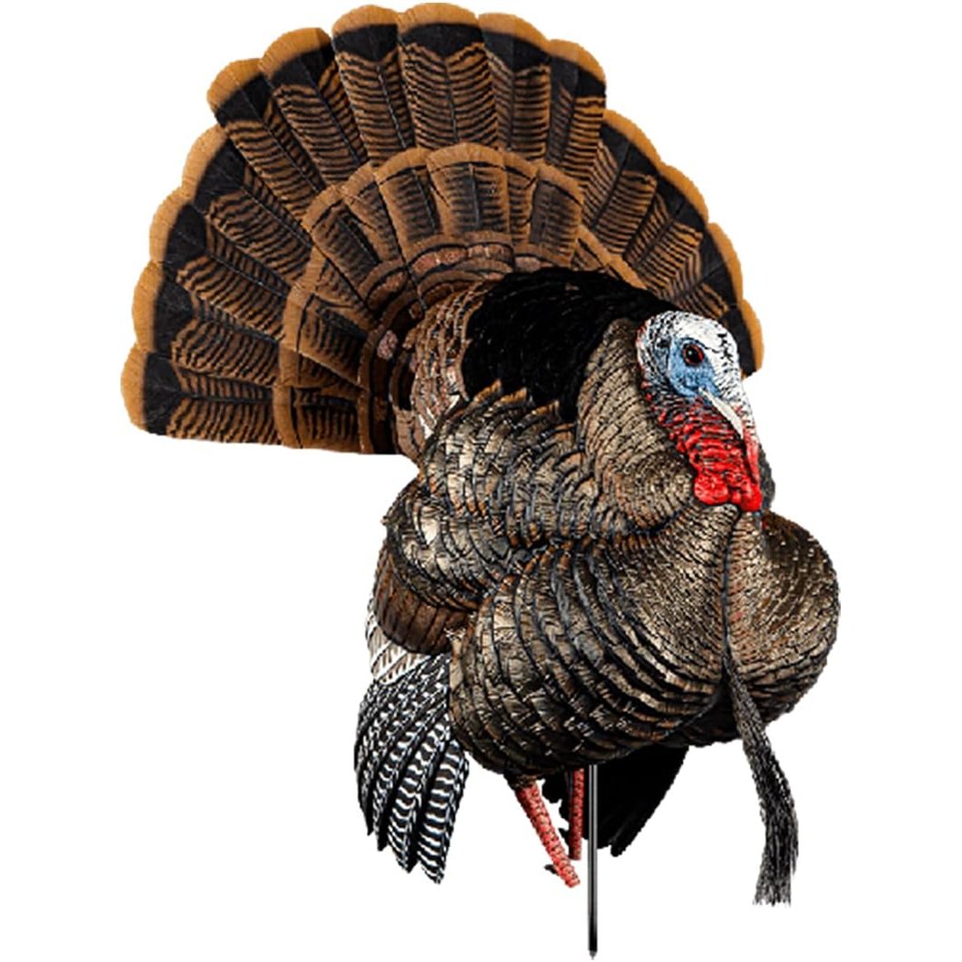 Avian-X HDR Strutter Turkey Decoy Bundle with LCD Lookout Hen Turkey Decoy