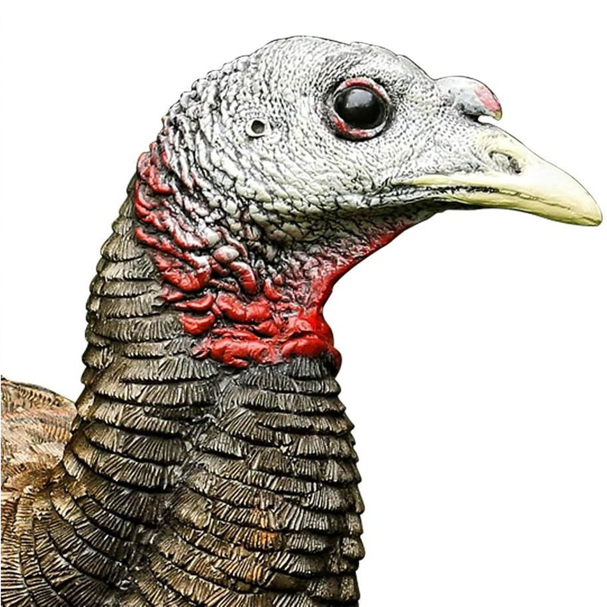 AVIAN-X LCD Feeder Hen AVX8007 & Breeder Hen AVX8008 Turkey Decoys | Realistic Lifelike Collapsible Standing Hunting Decoys with Carry Bag & Stake