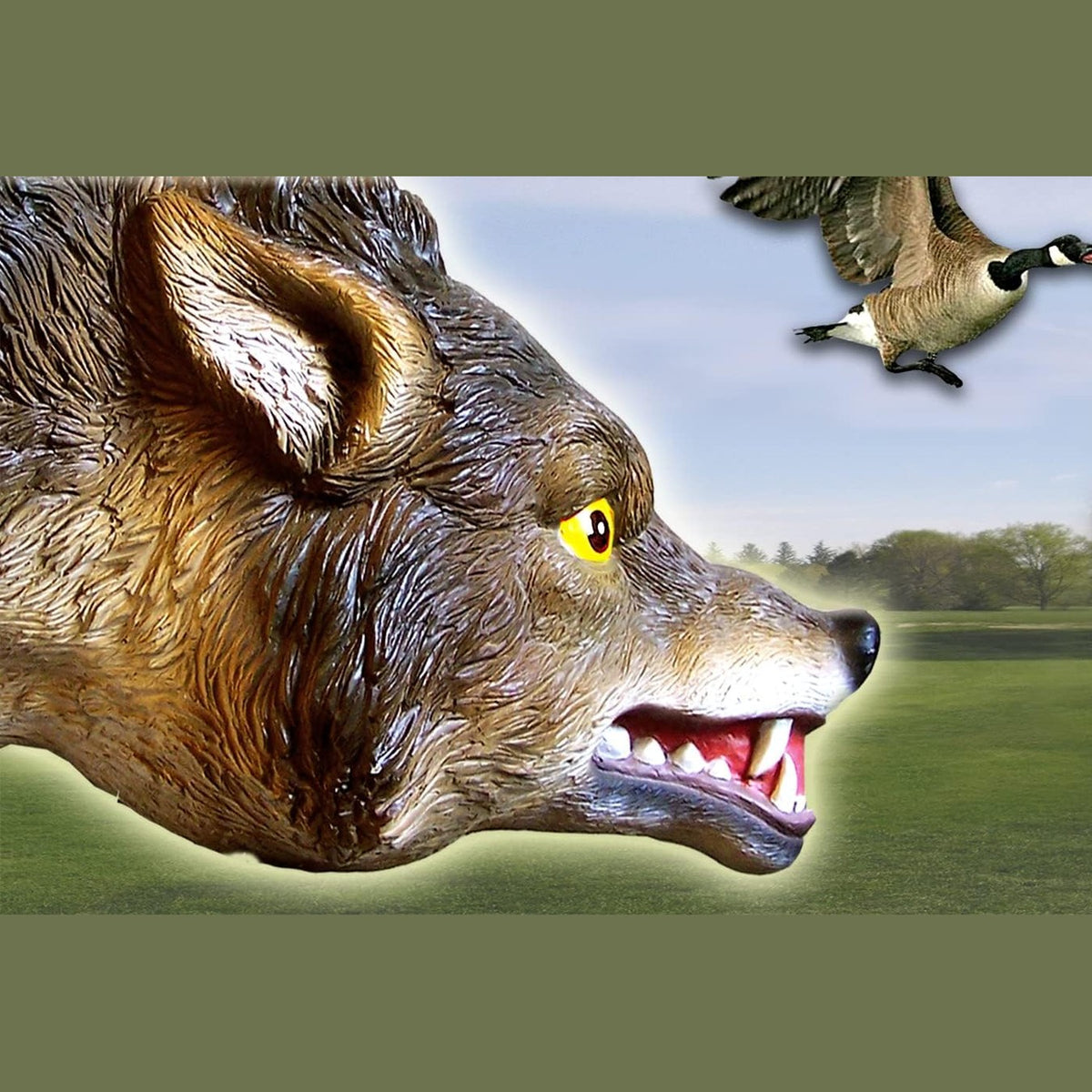 Bird-X 3D Coyote Decoy, Moving Tail, Scare Geese, 32 X 8 X 30 Inch