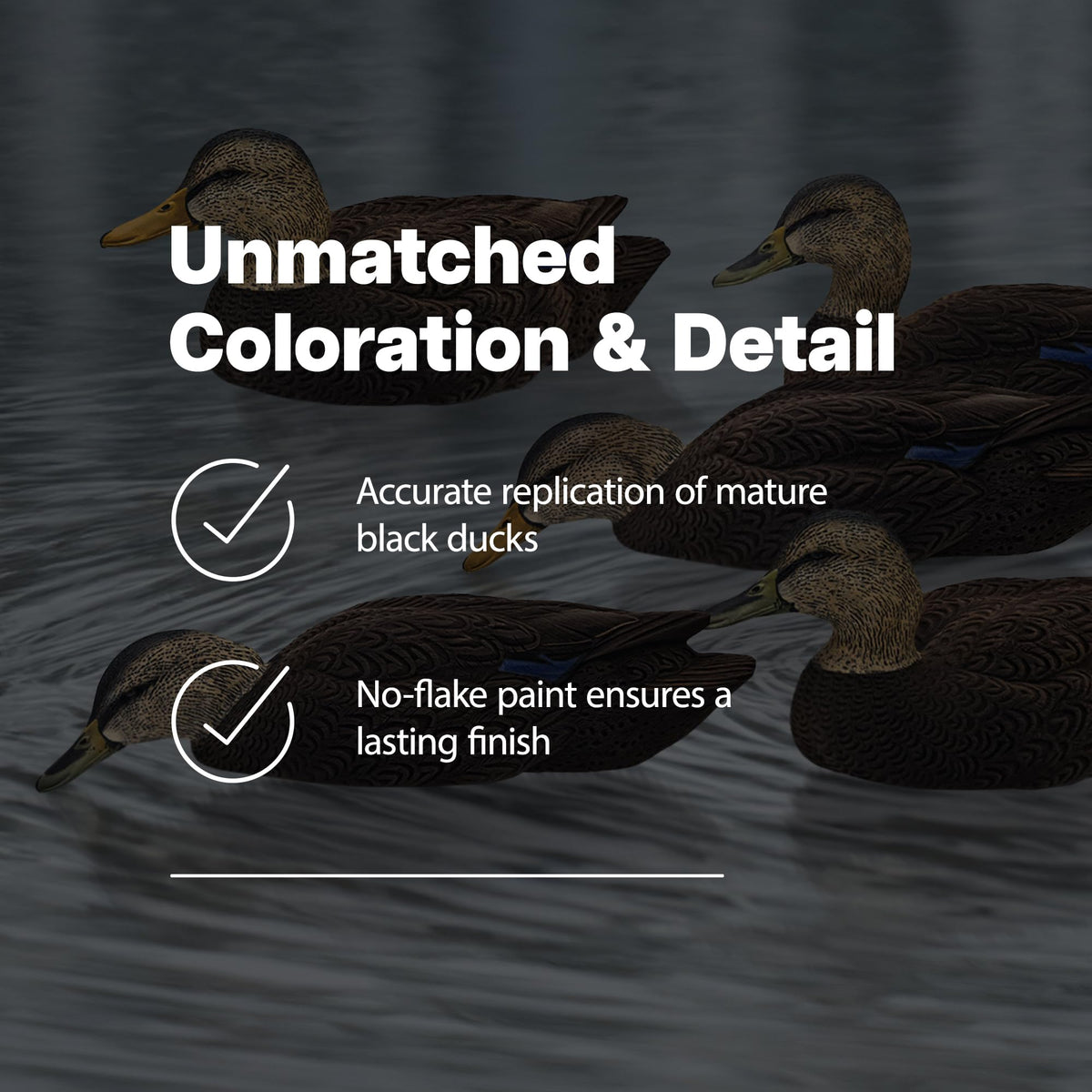 Avian-X Topflight Realistic Duck Decoy Sets with Flocked Bodies, 6 Unique Postures, Weight Forward Swim Keel, & Durable No Flake Finish