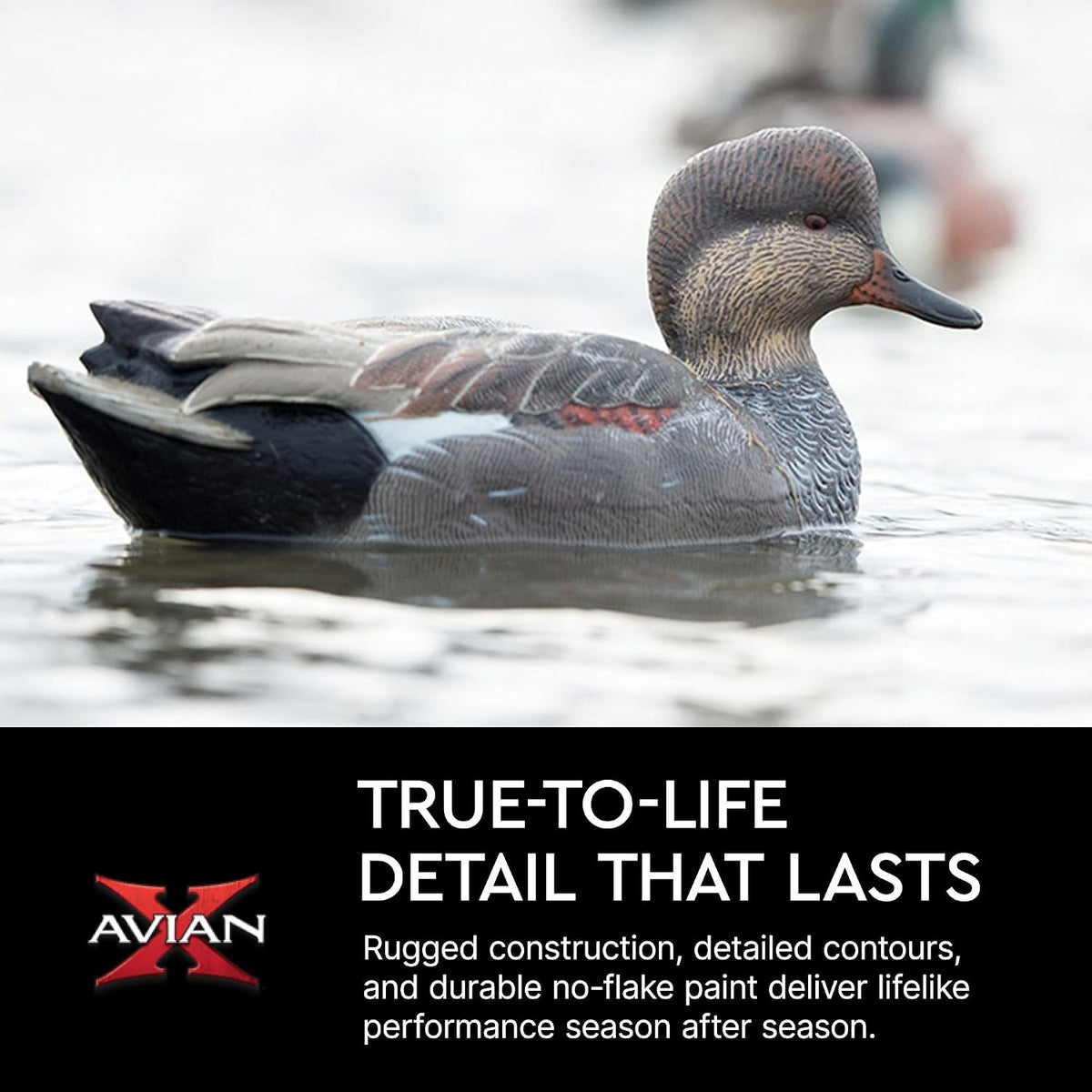 Avian-X Topflight Gadwall Decoys Perfectly Replicated Late Season Gray Ducks, Weight Forward Swim Keel, Realistic Movement