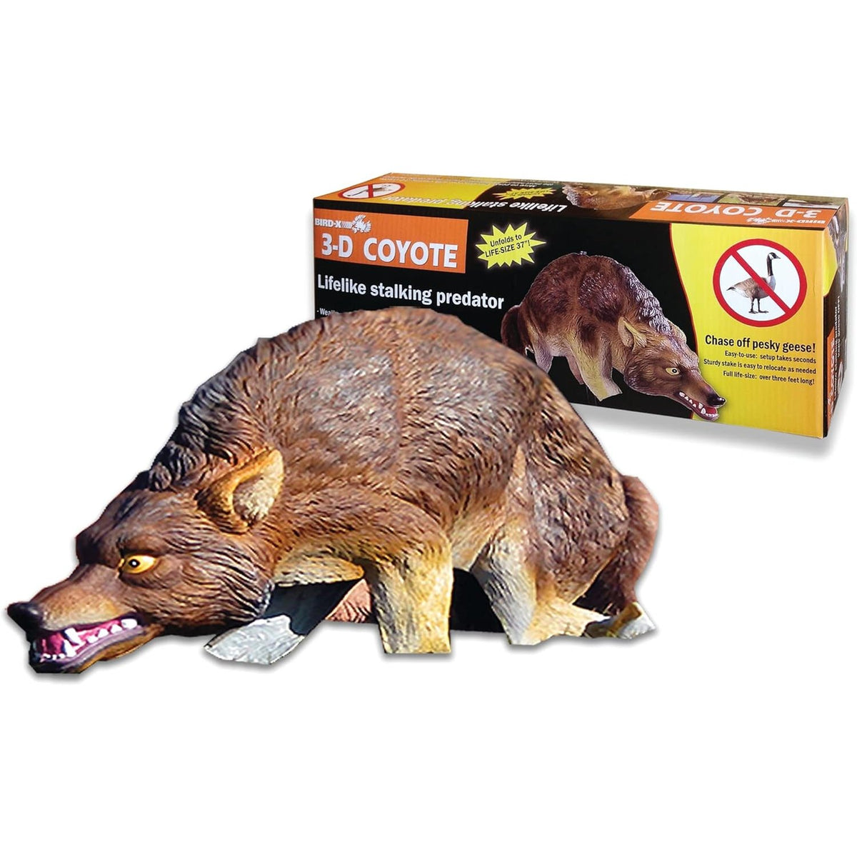 Bird-X 3D Coyote Decoy, Moving Tail, Scare Geese, 32 X 8 X 30 Inch