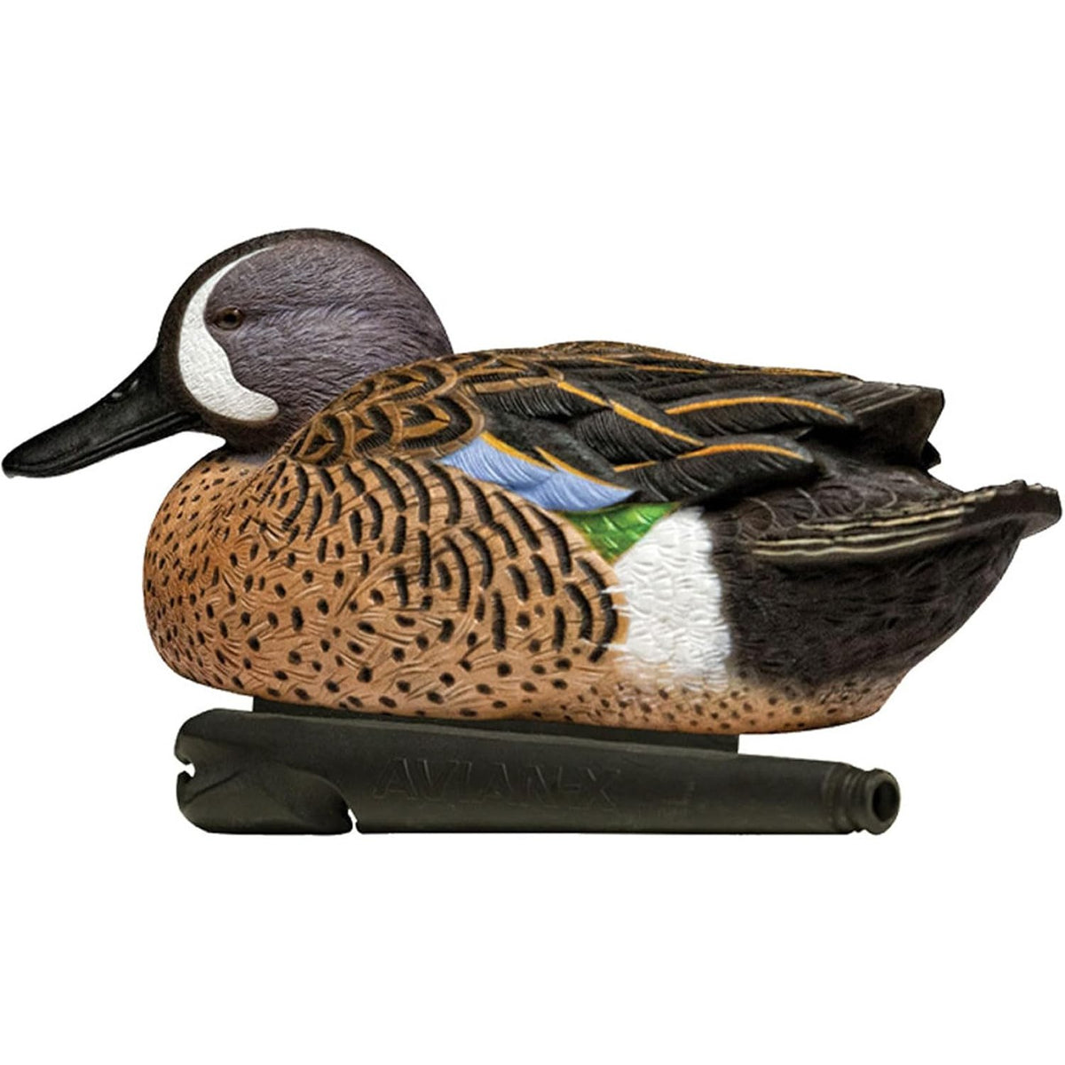 Avian-X Topflight Blue-Winged Teal Duck, Realistic Floating Outdoor Duck Decoys
