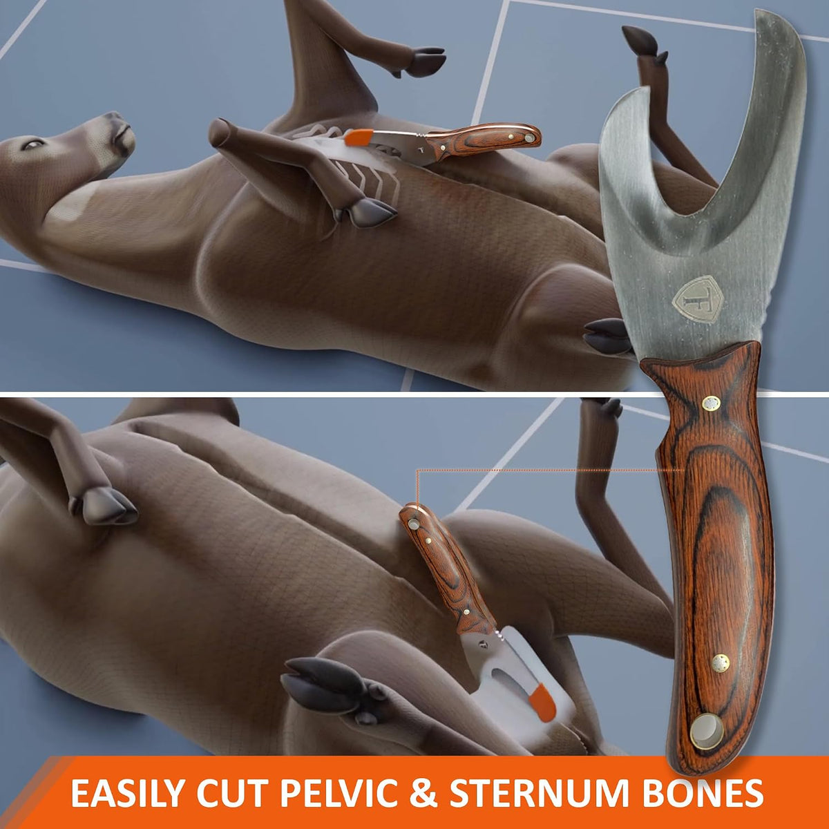 Field Dressing Kit | 3-in-1 Super Tool with Sheath & Sharpener | Gut Hook | Deer Hunting Knife Set | Pakkawood | Men's Hunting Gift Accessory