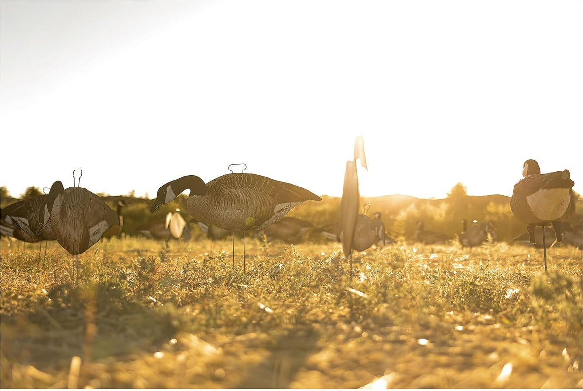 Higdon Outdoors Flats | Canada Goose Silhouette Decoys for Waterfowl Hunting | Weather Resistant Goose Decoys with Easy Carry Stakes | Standard, Motion, or Fully Flocked Motion | 12 Pack