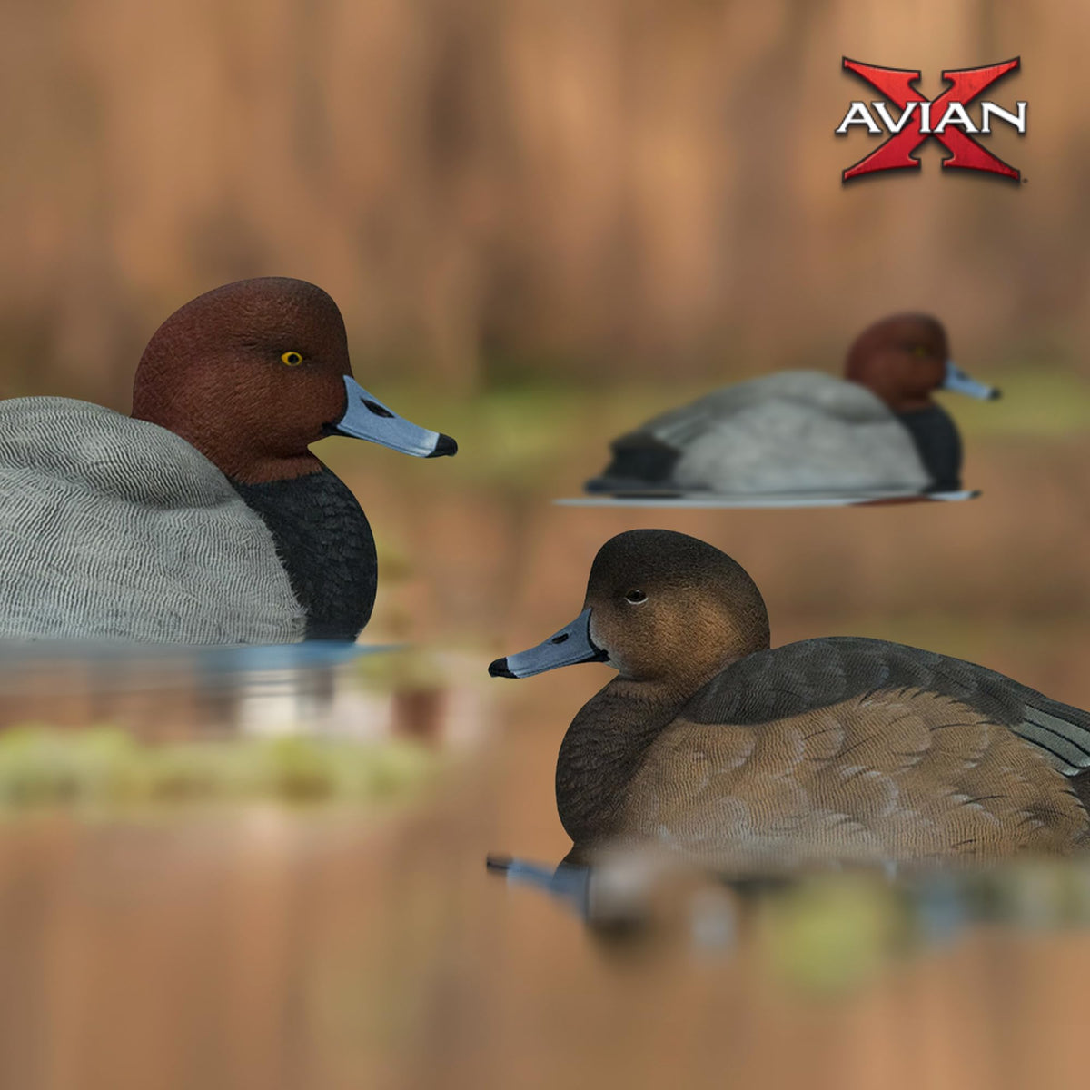 Avian-X Topflight Blue-Winged Teal Duck, Realistic Floating Outdoor Duck Decoys
