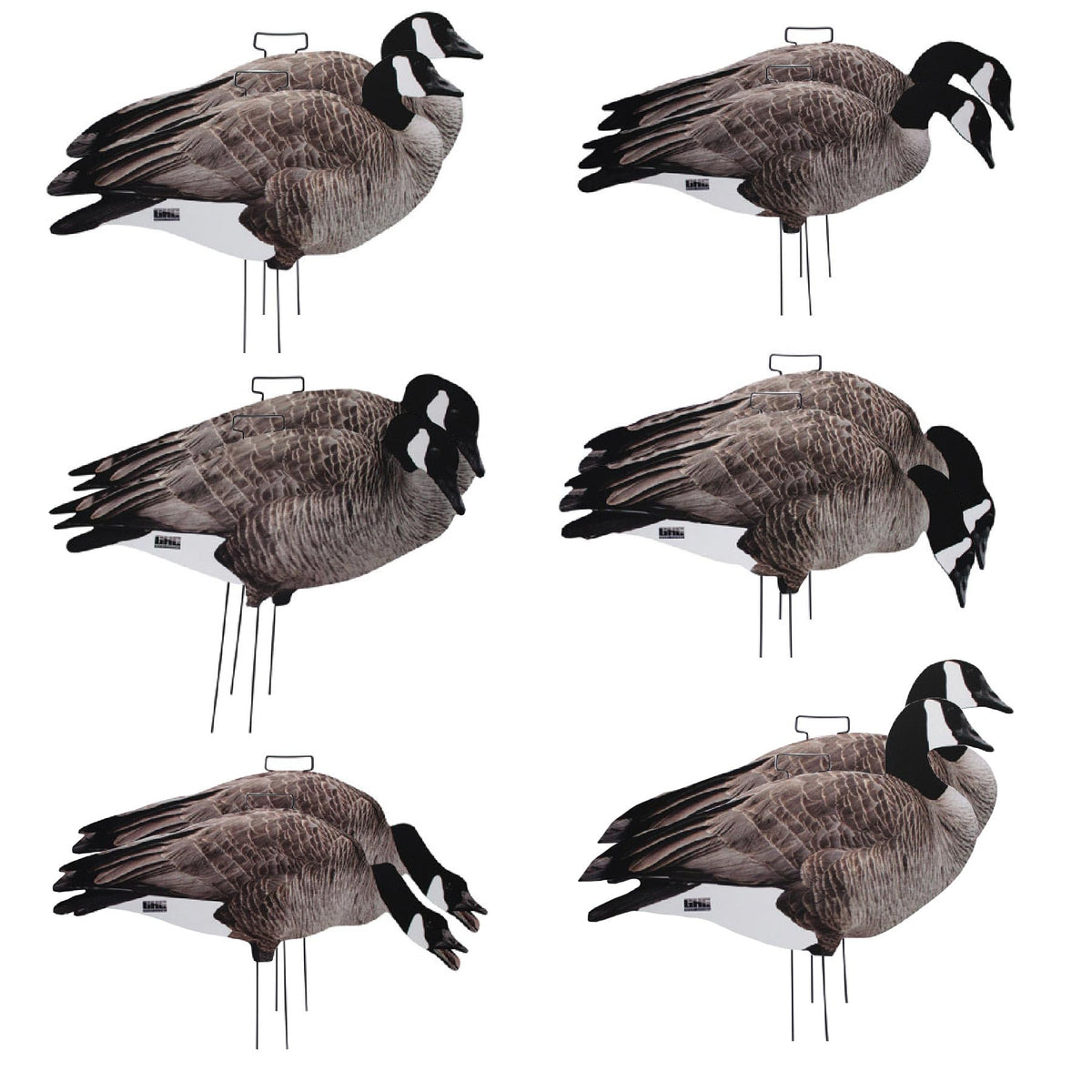 Avery GHG Pro-Grade Silhouette Goose Decoys
