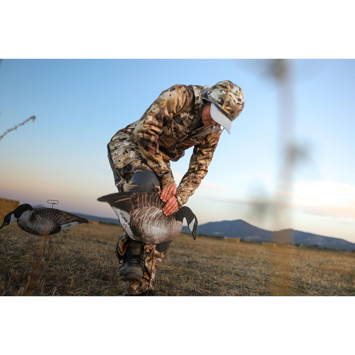 Higdon Outdoors Flats | Canada Goose Silhouette Decoys for Waterfowl Hunting | Weather Resistant Goose Decoys with Easy Carry Stakes | Standard, Motion, or Fully Flocked Motion | 12 Pack