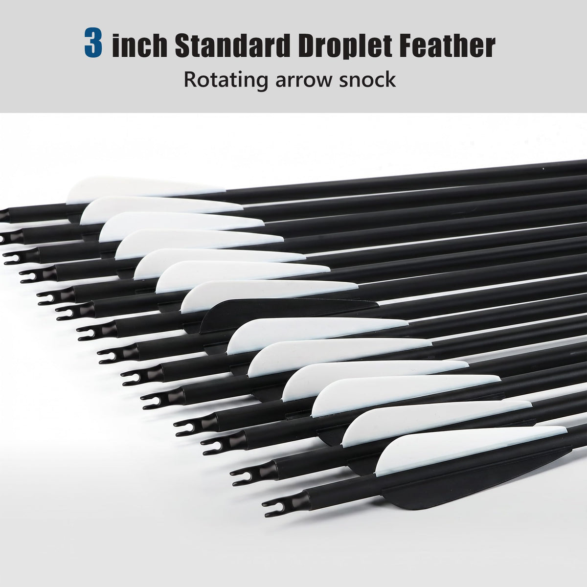14 Pack 30" Archery Carbon Arrows,Practice Hunting Arrow with Removable Tips Shaft Spine 500 Suitable for Recurve Bows