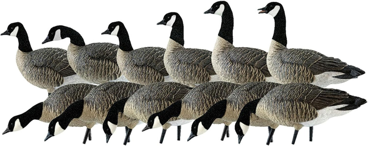 Avian X AXP Lessers Full Body Canada Goose Decoys, Flocked Heads, 12-Pack