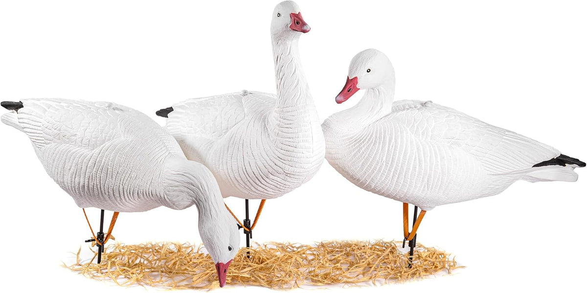 Heerweiyi Goose Decoys Pack of 6, Popular New Material EVA Collapsible Plastic Goose Hunting Decoys, Goose Decoys, Easy to Carry and Use, Cost Effective