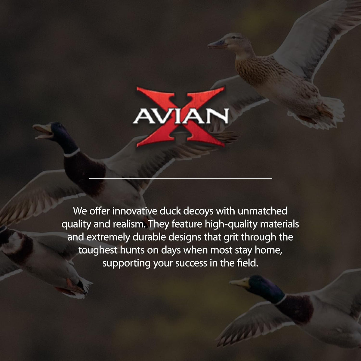 Avian-X Top Flight Open Water Mallard Duck Decoys, Ultra Realistic Floating Hunting Decoys with Weight Forward Swim Keel, Multicolor, 18 Pack