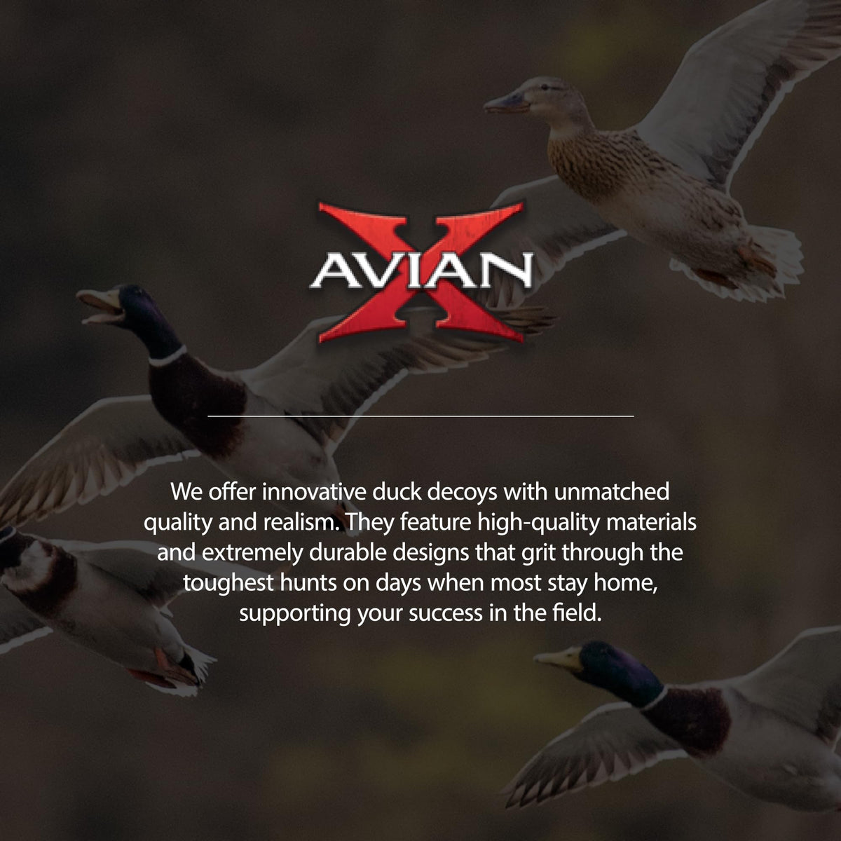 Avian X Topflight Early Season Teal with True to Life Postures and Rugged Design for Hunting Purposes, Outdoor Sports, and Recreation, 6 Pack