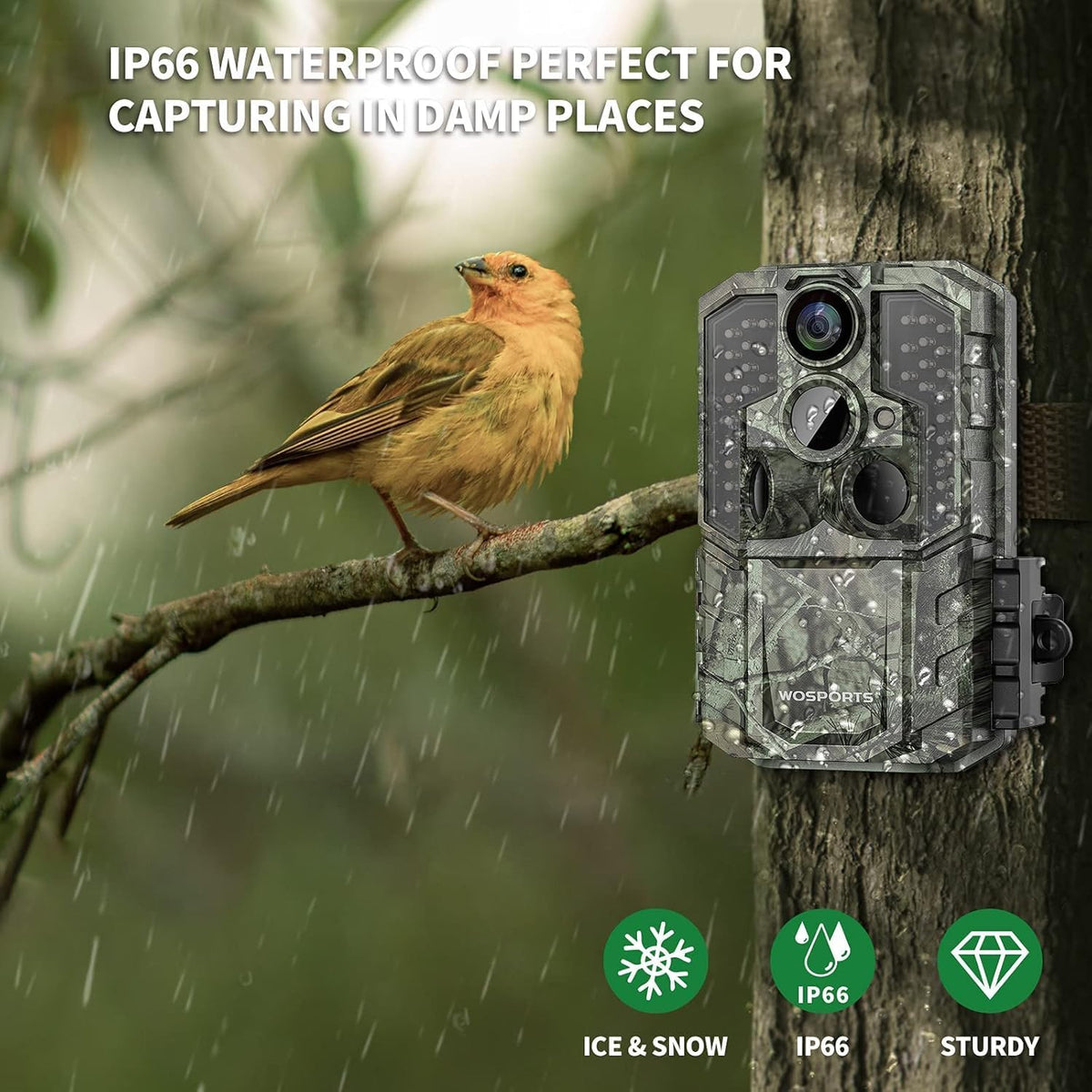 WOSPORTS Trail Camera(Non-Cellular Non-WiFi) 64MP 4K 0.2S Trigger Motion Activated,Game Camera with No-Glow Night Vision 2.0''LCD 120°Wide for Outdoor Scouting Wildlife Monitoring Home Security