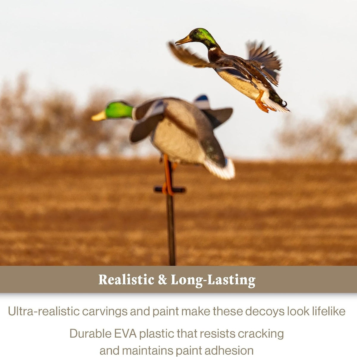 Lucky Duck Spinning Wing Motion Duck Decoys for Hunters, Lucky Junior II
