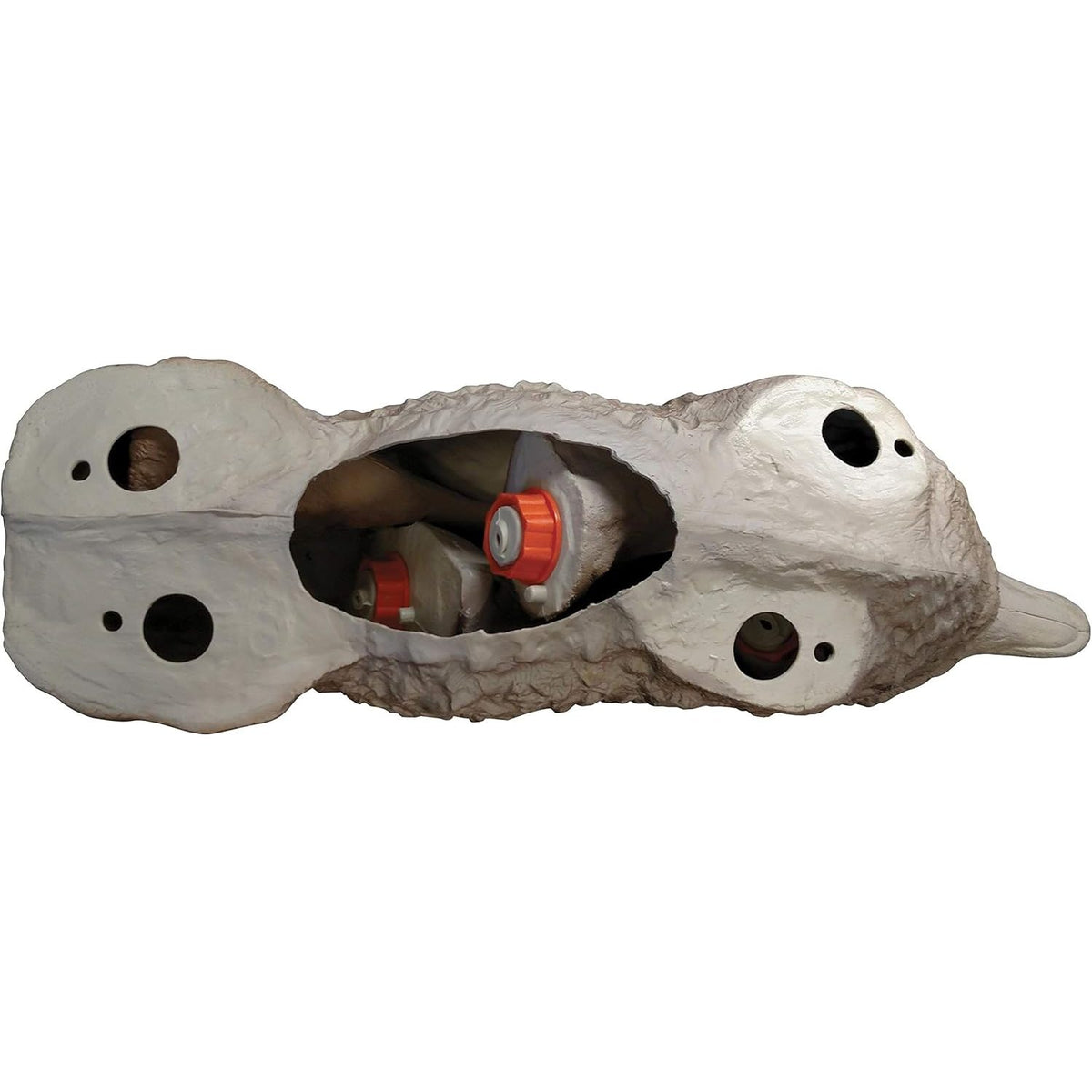 Flambeau Outdoors Lone Howler Coyote Decoy, Removable Legs, Deterrent