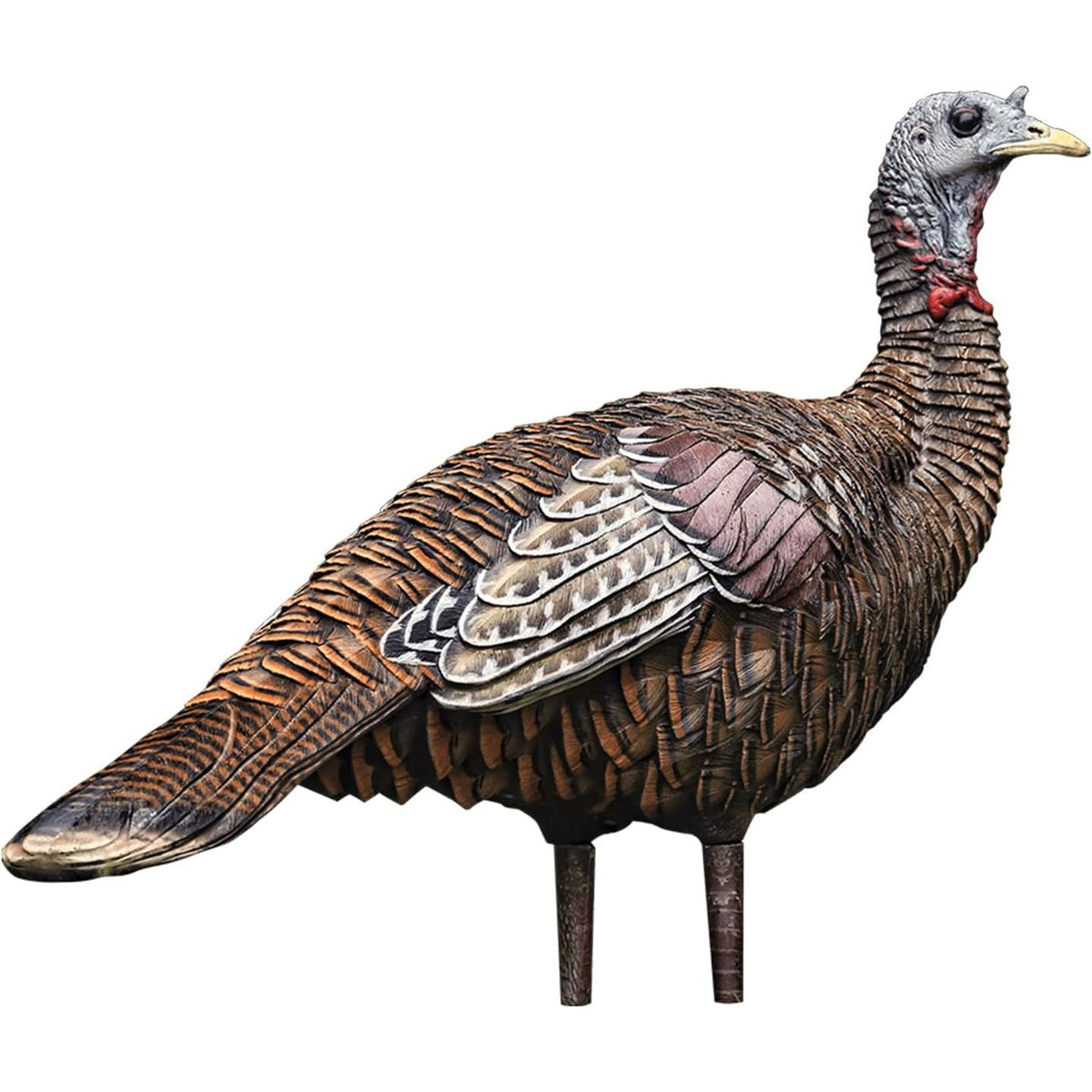 Avian-X HDR Strutter Turkey Decoy Bundle with LCD Lookout Hen Turkey Decoy