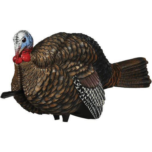 Avian X LCD 1/2 Strut Jake Turkey Decoy