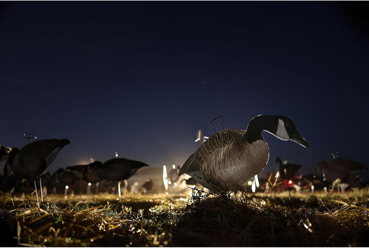Higdon Outdoors Flats | Canada Goose Silhouette Decoys for Waterfowl Hunting | Weather Resistant Goose Decoys with Easy Carry Stakes | Standard, Motion, or Fully Flocked Motion | 12 Pack