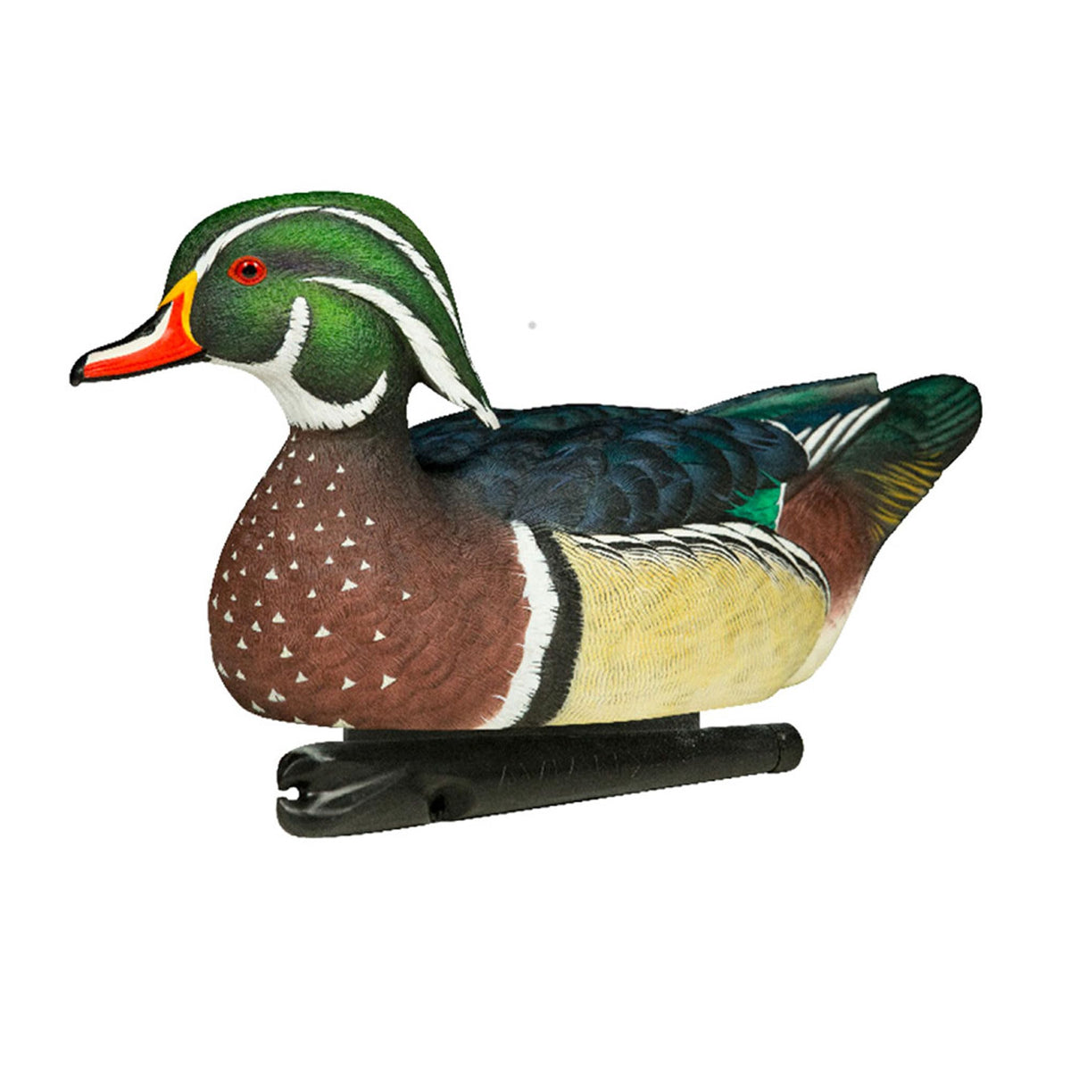 Avian X Topflight Realistic Floating Wood Duck Decoys with Weight-Forward Swim Keel, Set of 6 (Multicolor)