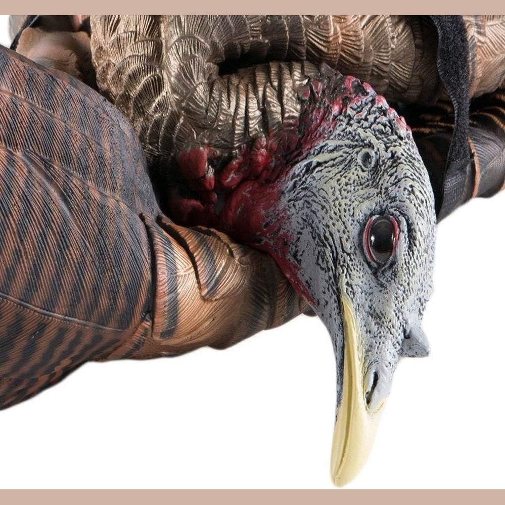 AVIAN-X LCD Feeder Hen Turkey Decoy | Durable Realistic Lifelike Collapsible Standing Hunting Decoy with Carry Bag & Stake, AVX8007