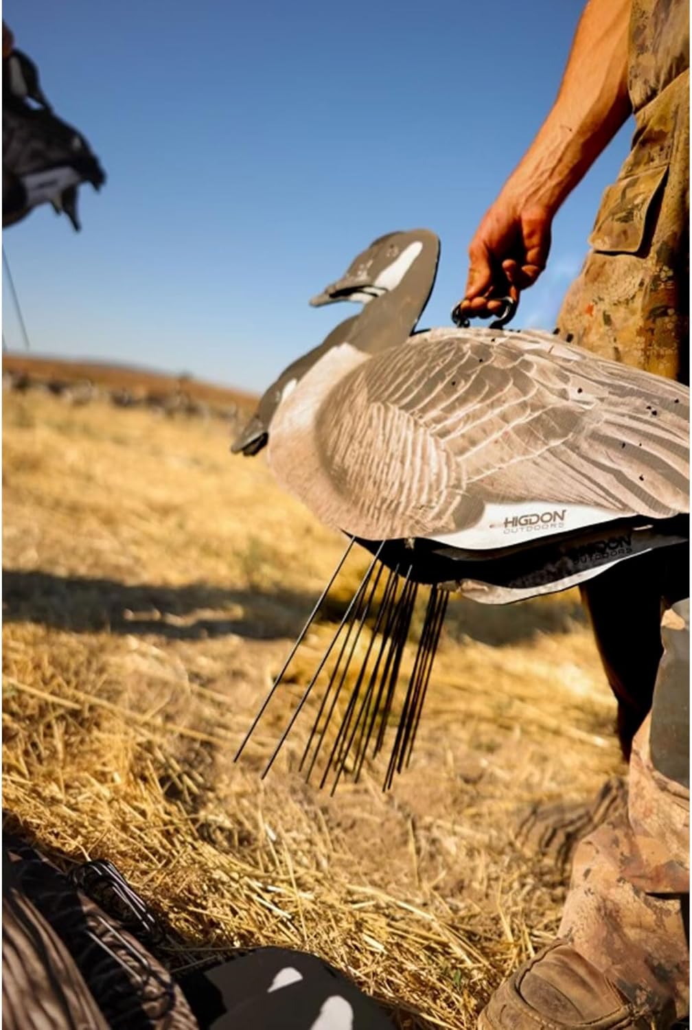 Higdon Outdoors Flats | Canada Goose Silhouette Decoys for Waterfowl Hunting | Weather Resistant Goose Decoys with Easy Carry Stakes | Standard, Motion, or Fully Flocked Motion | 12 Pack