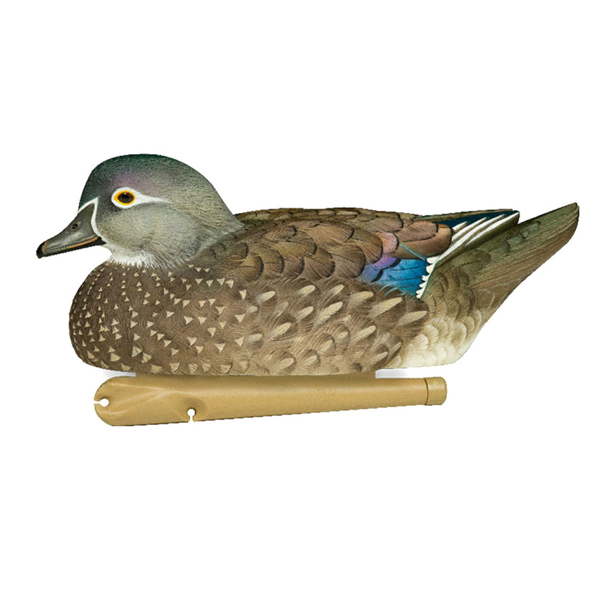 Avian X Topflight Realistic Floating Wood Duck Decoys with Weight-Forward Swim Keel, Set of 6 (Multicolor)