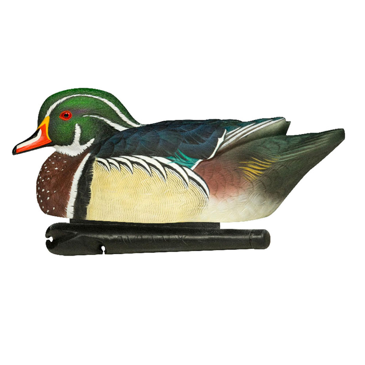 Avian X Topflight Realistic Floating Wood Duck Decoys with Weight-Forward Swim Keel, Set of 6 (Multicolor)