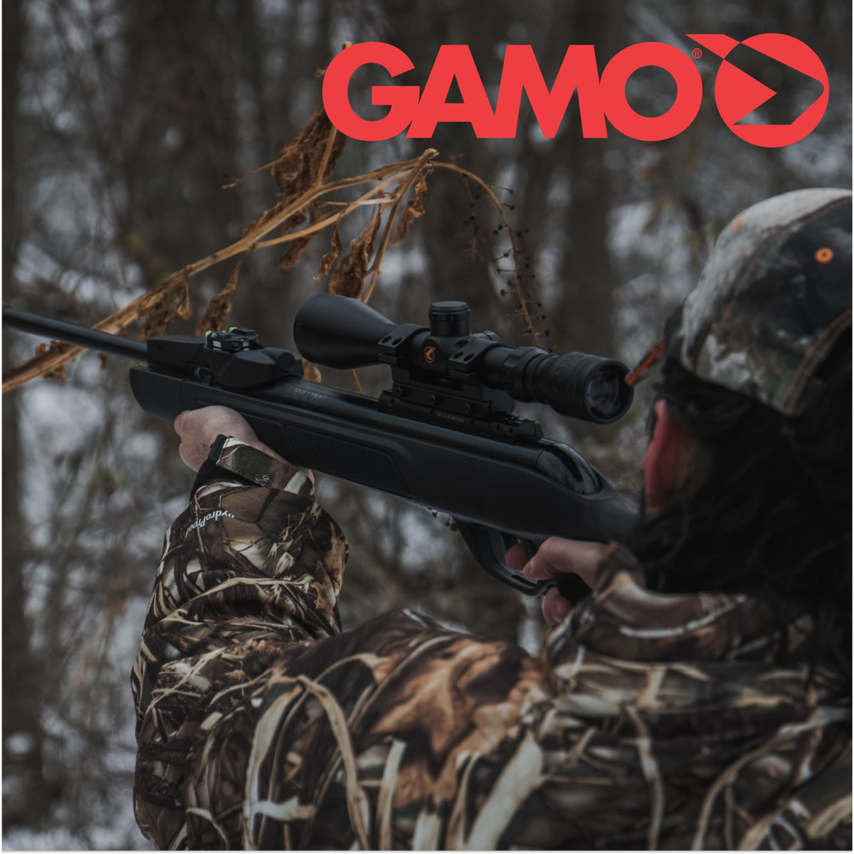 Gamo Swarm Whisper 10X Multi-Shot Break Barrel Pellet Air Rifle - 10-Rounds