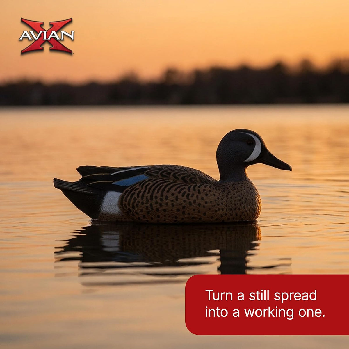 Avian-X Topflight Blue-Winged Teal Duck, Realistic Floating Outdoor Duck Decoys