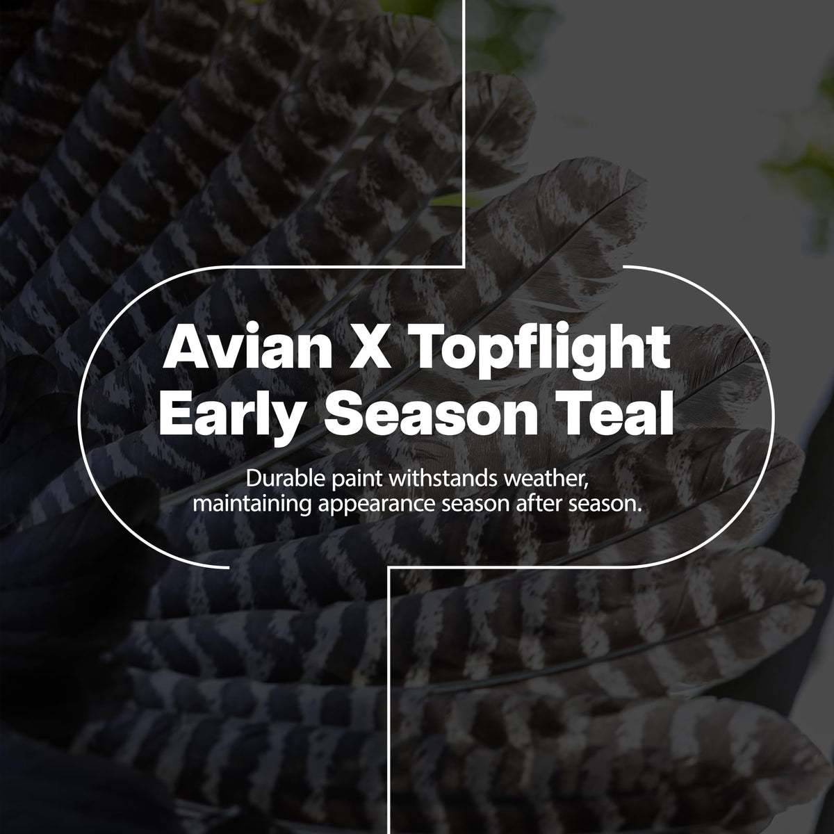 Avian X Topflight Early Season Teal with True to Life Postures and Rugged Design for Hunting Purposes, Outdoor Sports, and Recreation, 6 Pack