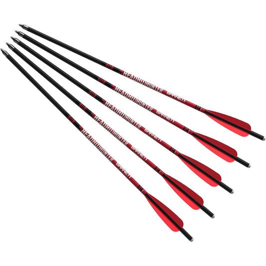 BARNETT Headhunter Crossbow Arrows — Different Pack Sizes, Standard Moon Nocks, Includes Field Points, Pre-Fletched for Crossbow Use