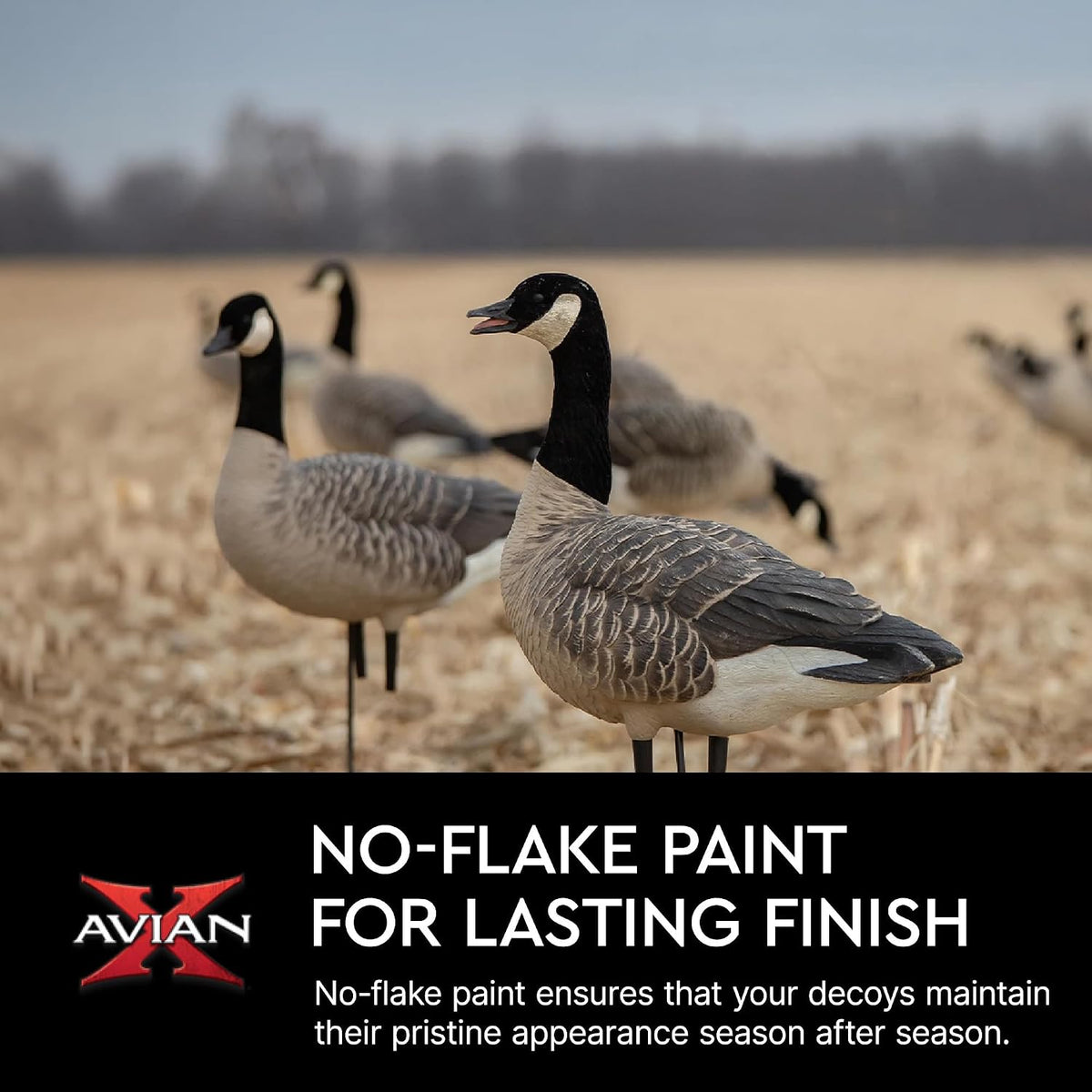 Avian X AXP Lessers Full Body Canada Goose Decoys, Flocked Heads, 12-Pack