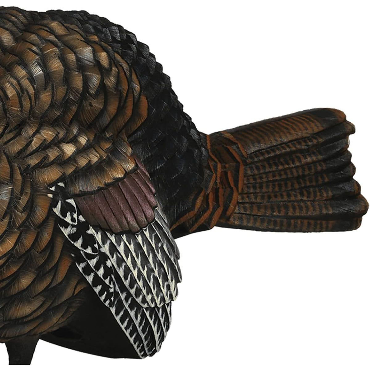 Avian X LCD 1/2 Strut Jake Turkey Decoy