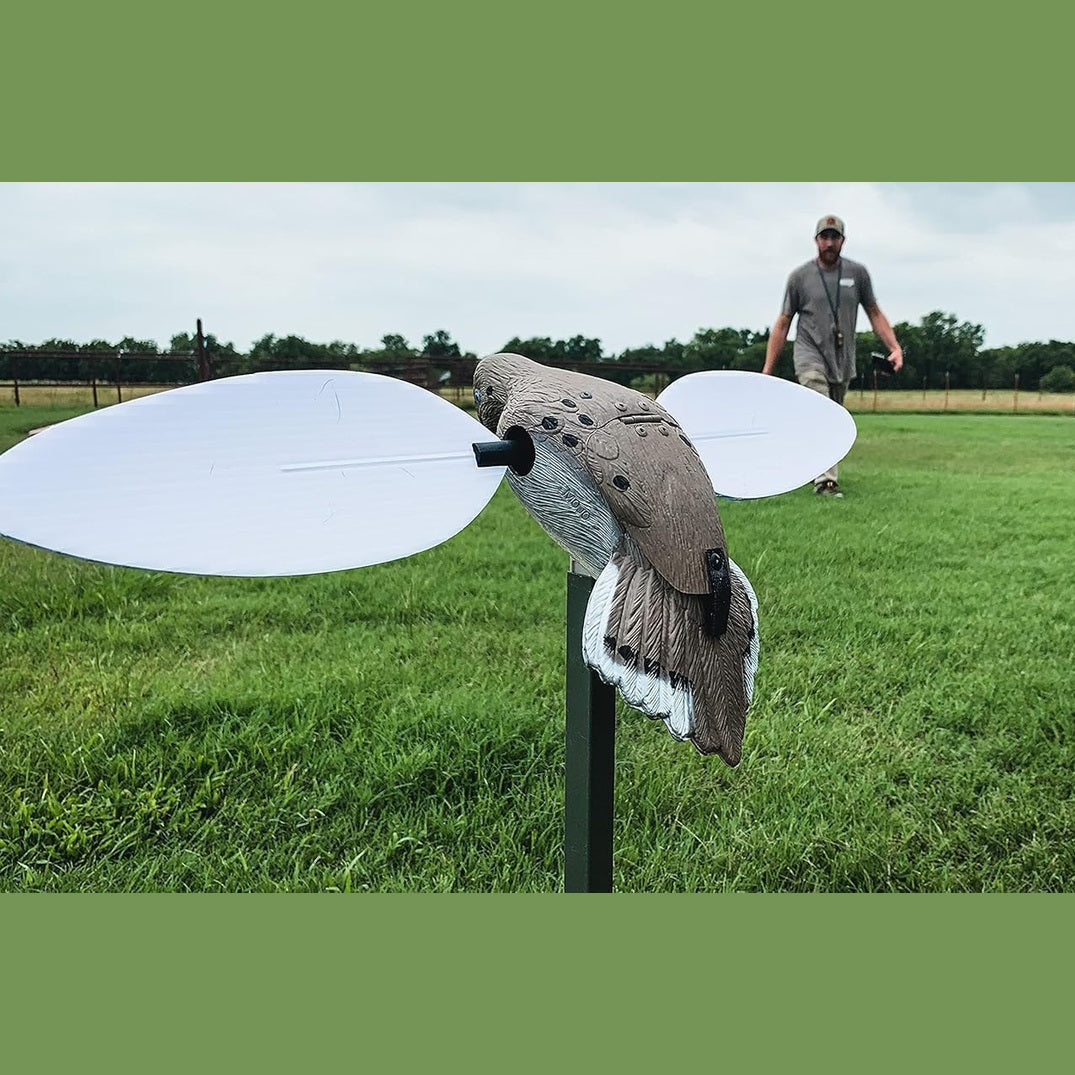 MOJO Outdoors Voodoo Dove Spinning Wing Decoy – Motorized Dove Decoy with Lifelike Body, Magnetic Wings, Steel Support Pole & 16-Hour Battery Life