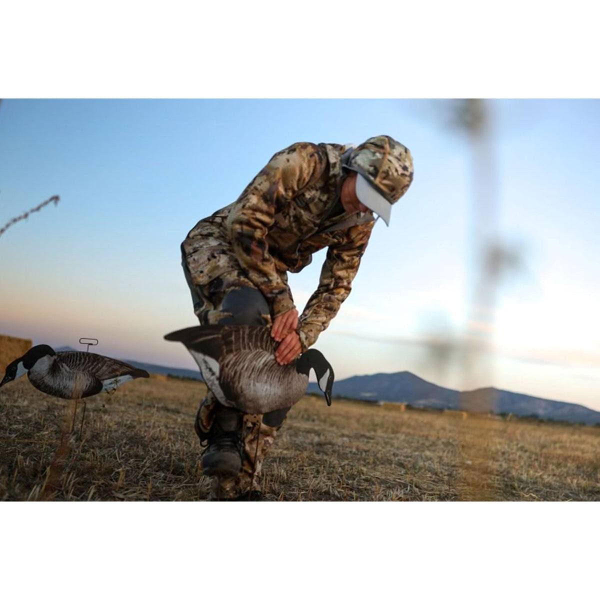 Higdon Outdoors Flats | Canada Goose Silhouette Decoys for Waterfowl Hunting | Weather Resistant Goose Decoys with Easy Carry Stakes | Standard, Motion, or Fully Flocked Motion | 12 Pack