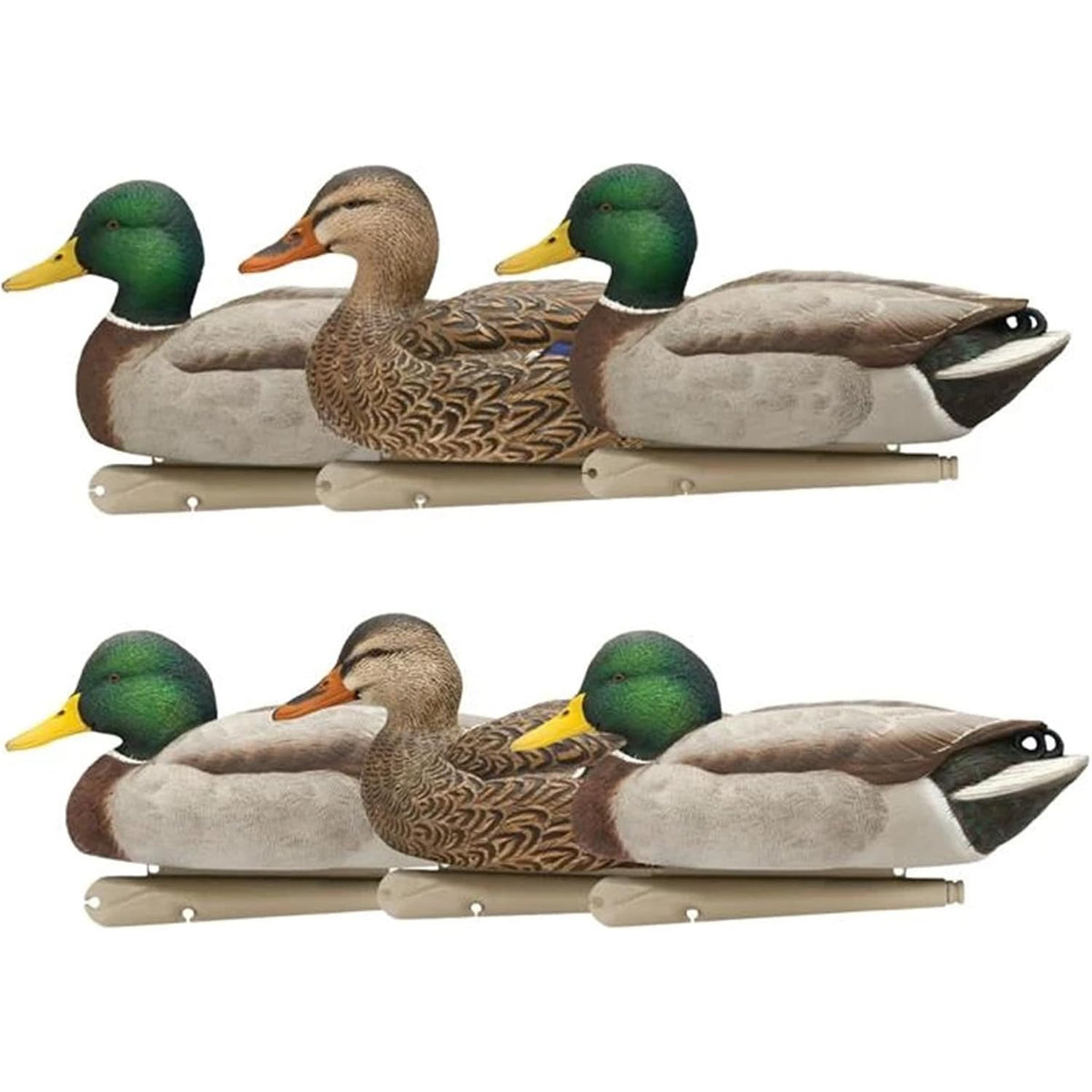 Avian X Topflight Realistic Open Water Mallard Duck Decoys with Weight-forward swim keel Set of 6 (Multicolor)