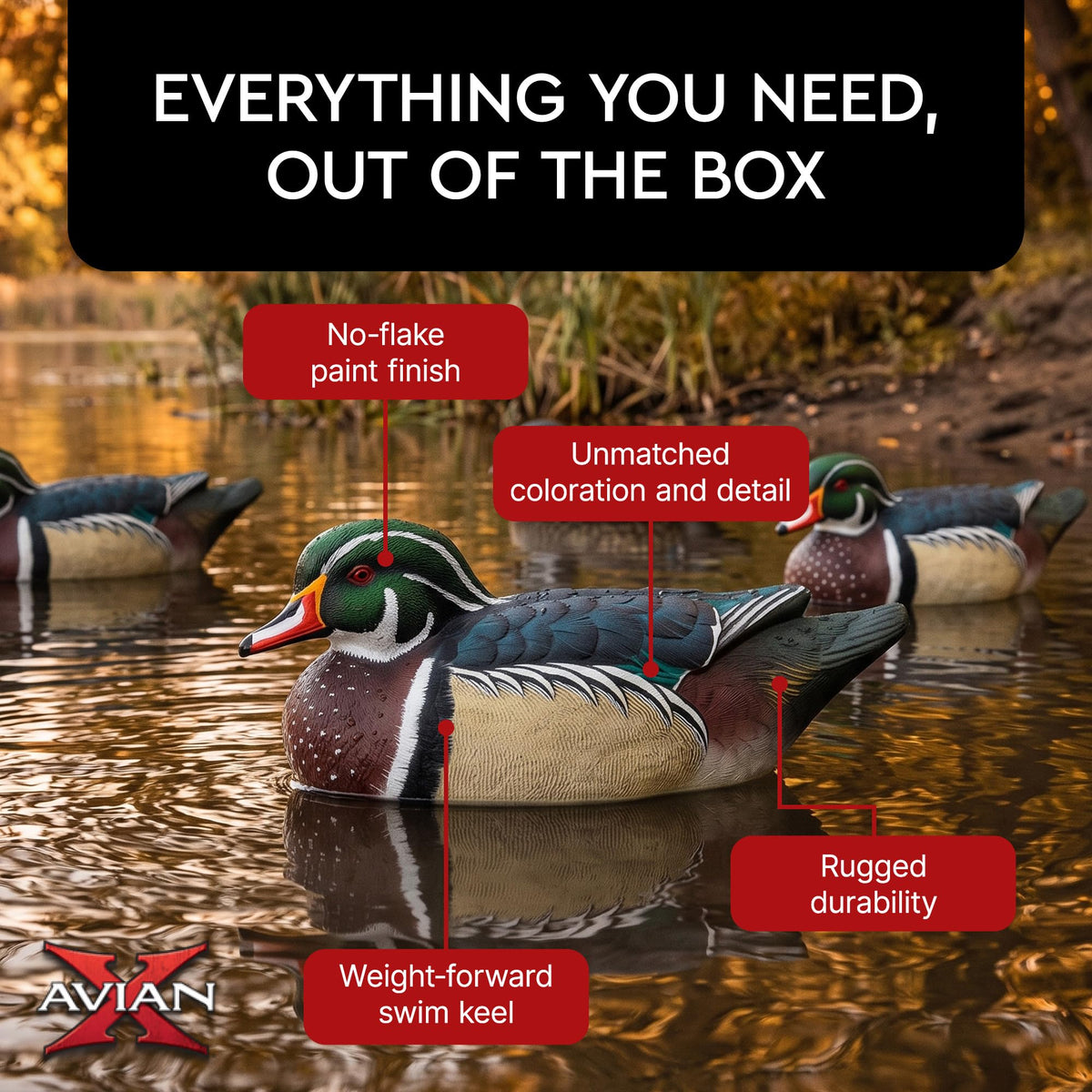 Avian X Topflight Realistic Floating Wood Duck Decoys with Weight-Forward Swim Keel, Set of 6 (Multicolor)