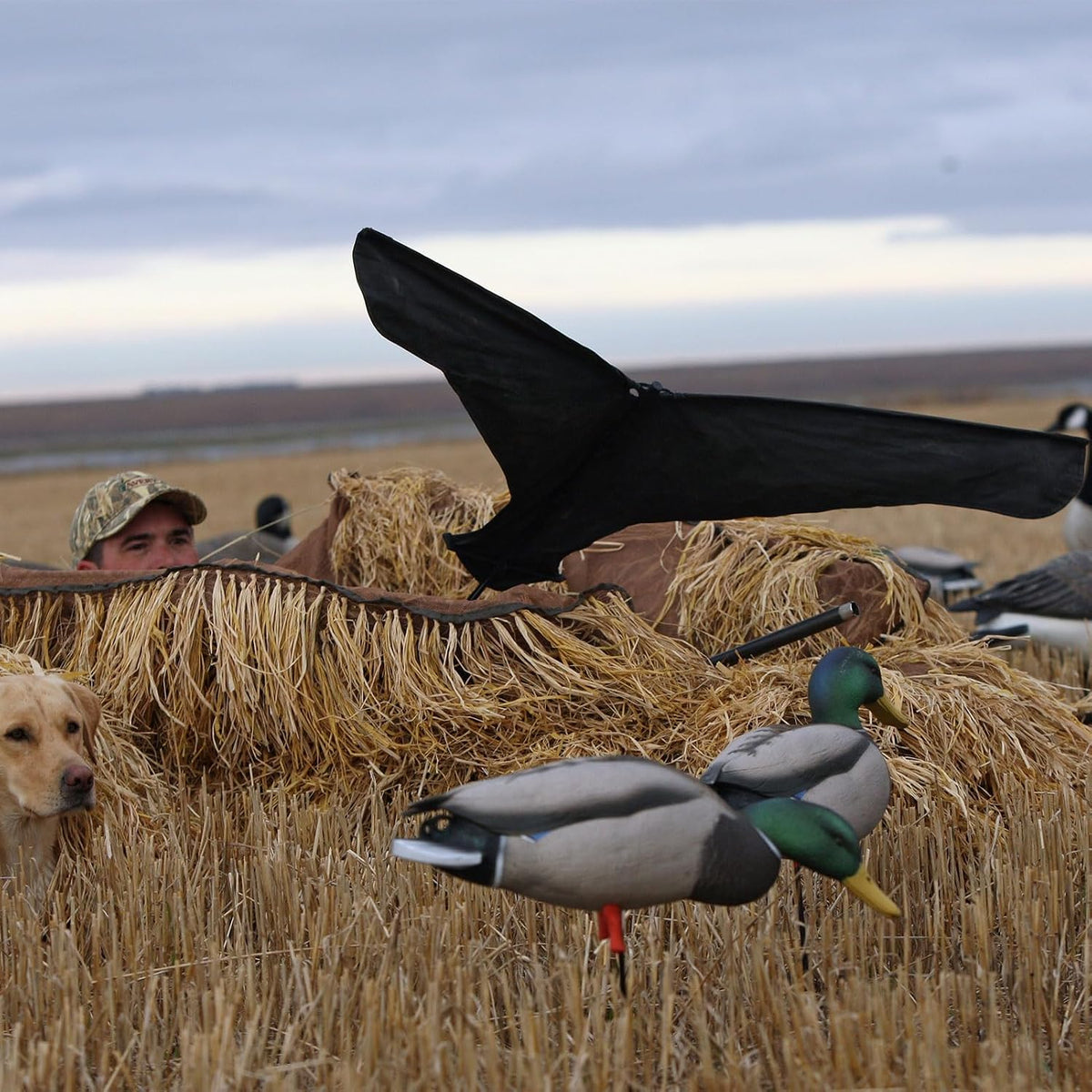 Avery Durable Simple Power Flag Decoy