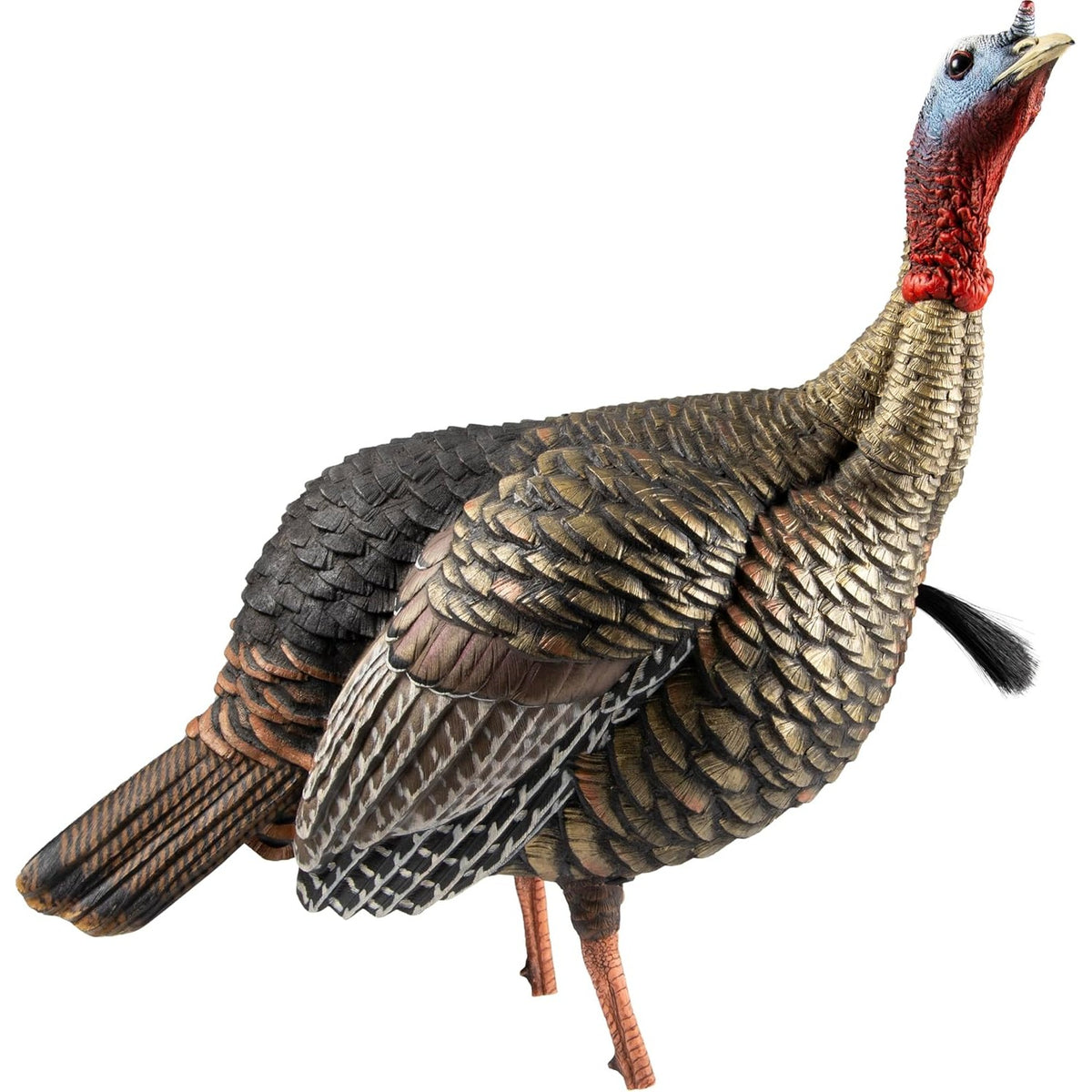 Avian-X HDR Jake Turkey Decoy | Rugged Durable Realistic Lifelike Quarter-Strut Body Standing Hunting Decoy with 2 Removable Heads, Mounting Stake & Carry Bag