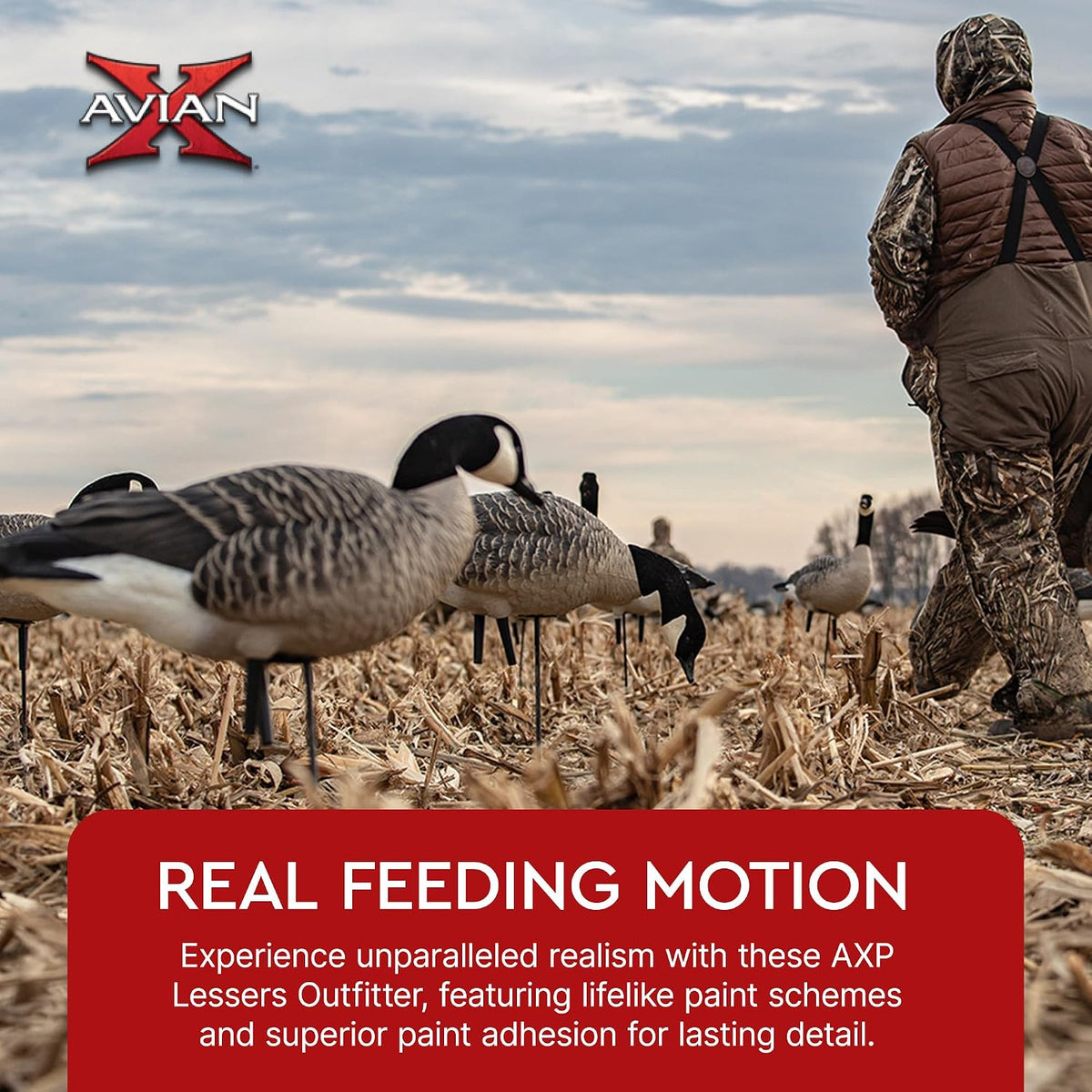 Avian X AXP Lessers Full Body Canada Goose Decoys, Flocked Heads, 12-Pack