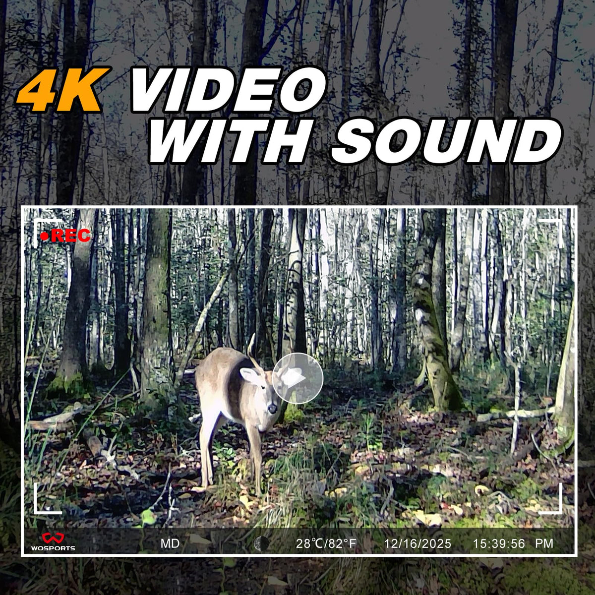 WOSPORTS Trail Camera(Non-Cellular Non-WiFi) 64MP 4K 0.2S Trigger Motion Activated,Game Camera with No-Glow Night Vision 2.0''LCD 120°Wide for Outdoor Scouting Wildlife Monitoring Home Security