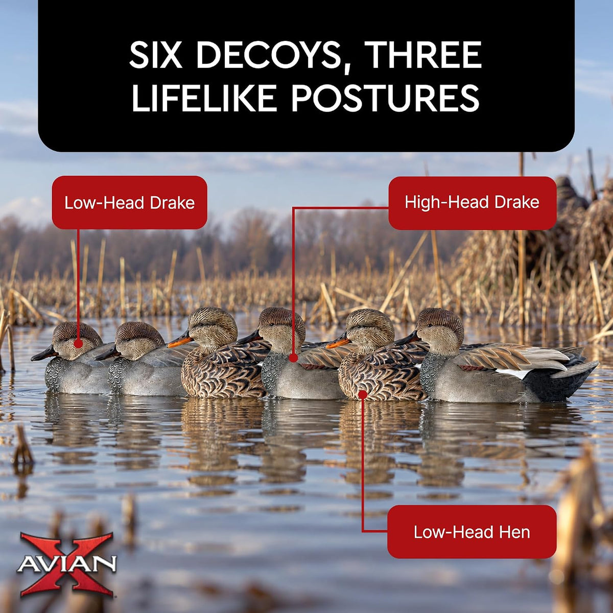 Avian-X Topflight Gadwall Decoys Perfectly Replicated Late Season Gray Ducks, Weight Forward Swim Keel, Realistic Movement