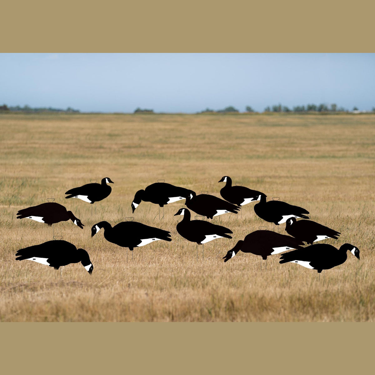 Avery GHG Pro-Grade Silhouette Goose Decoys